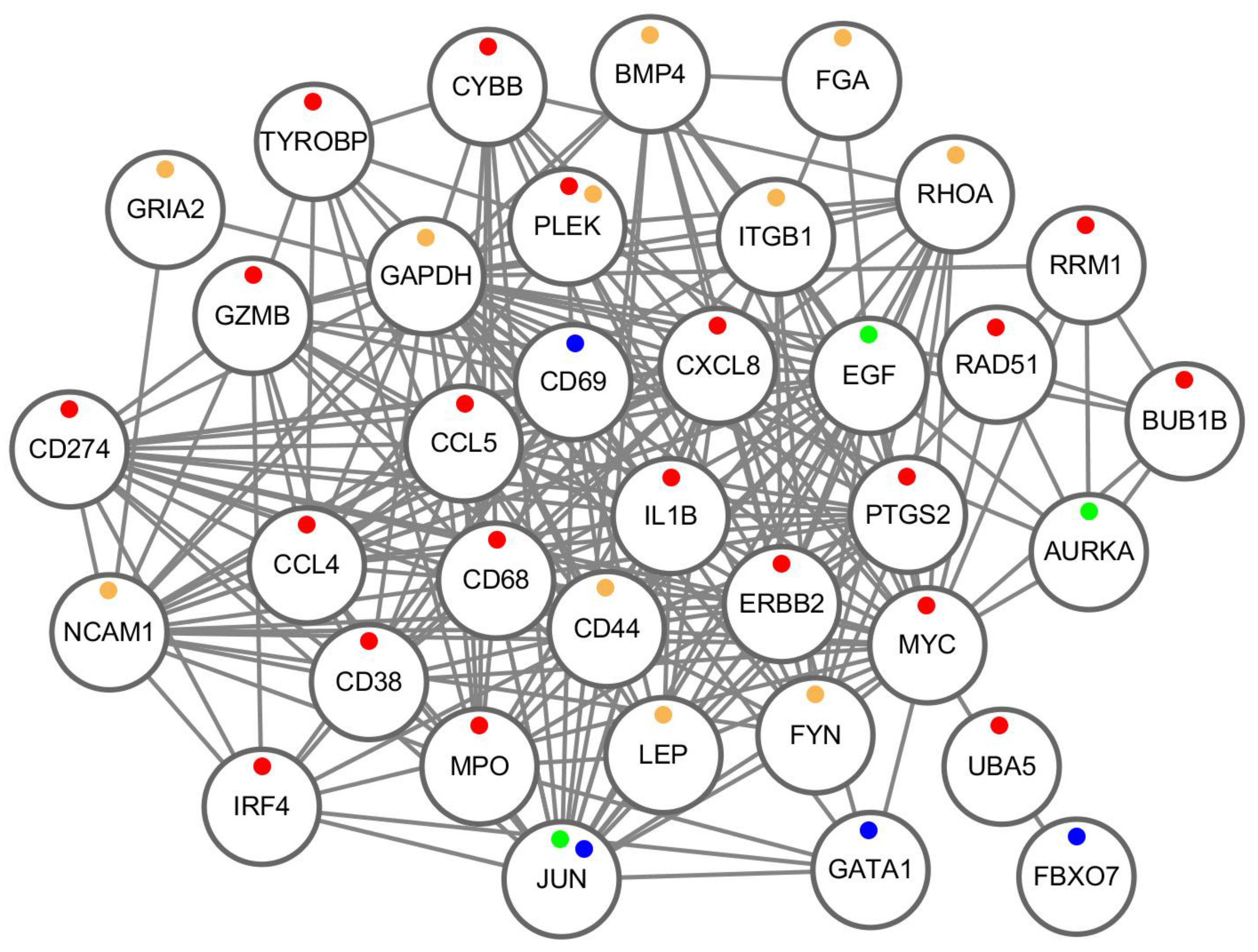 Ijms 25 11757 g003 Ijms 25 11757 g003