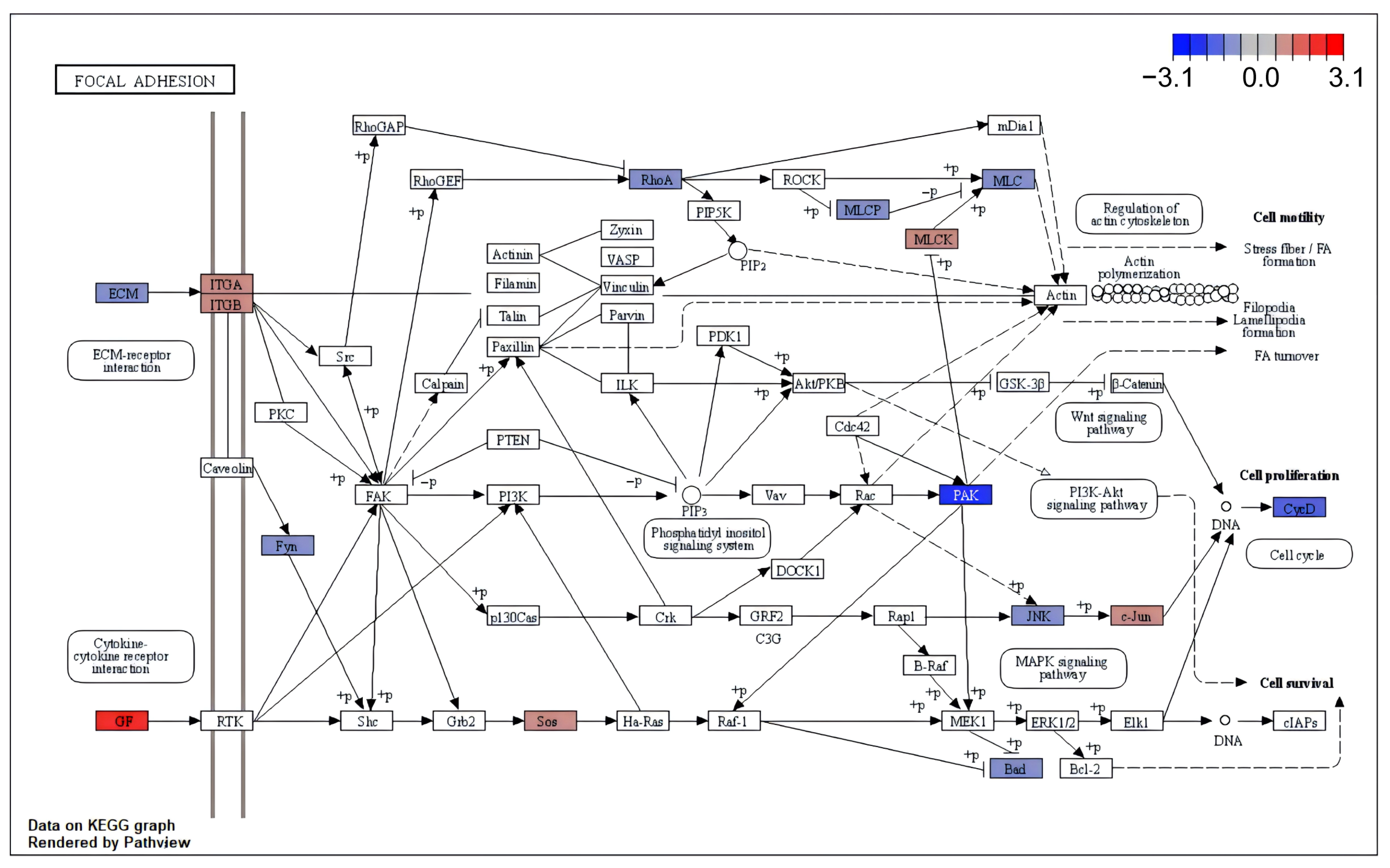 Ijms 25 11757 g004 Ijms 25 11757 g004