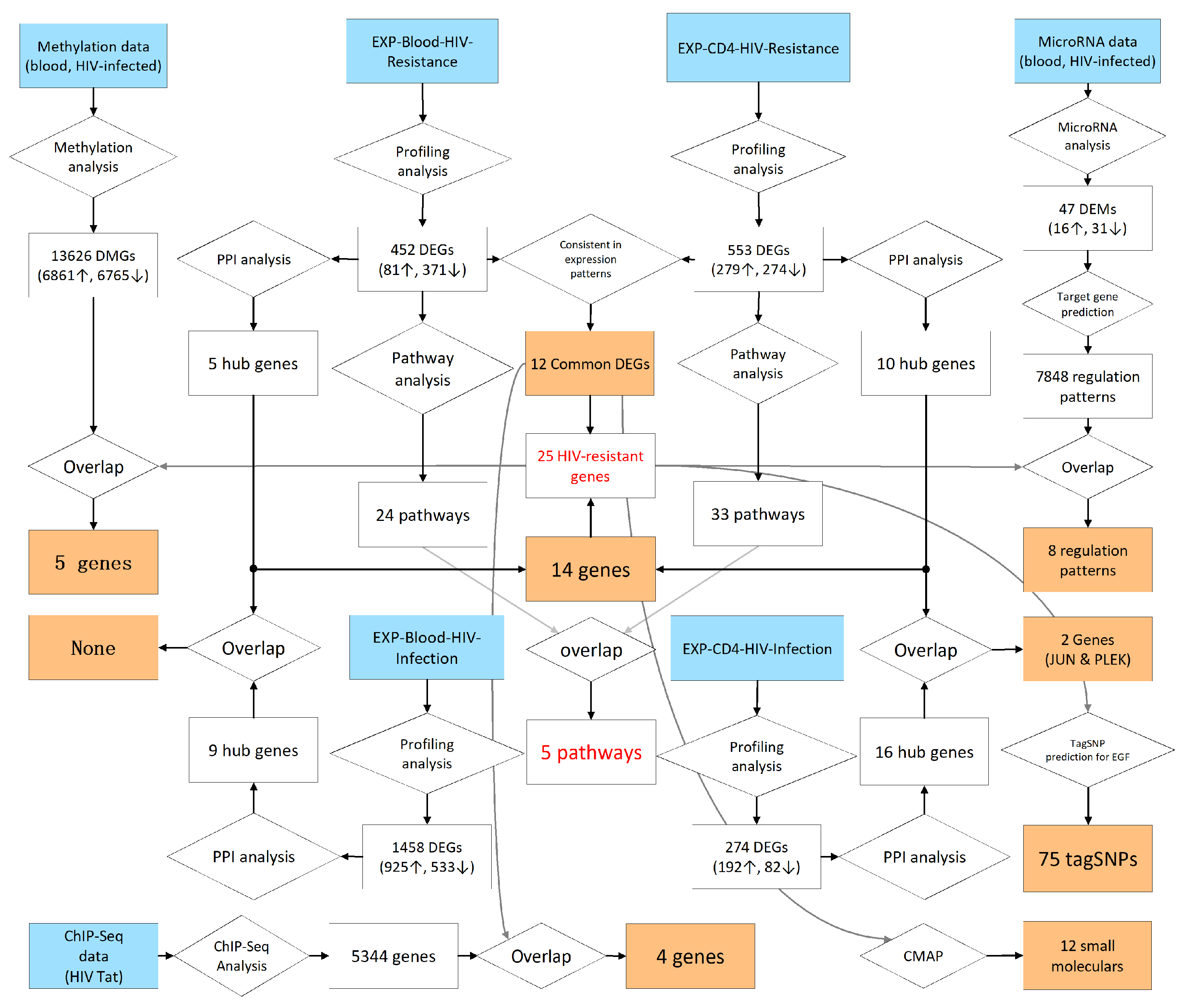 Ijms 25 11757 g005 Ijms 25 11757 g005