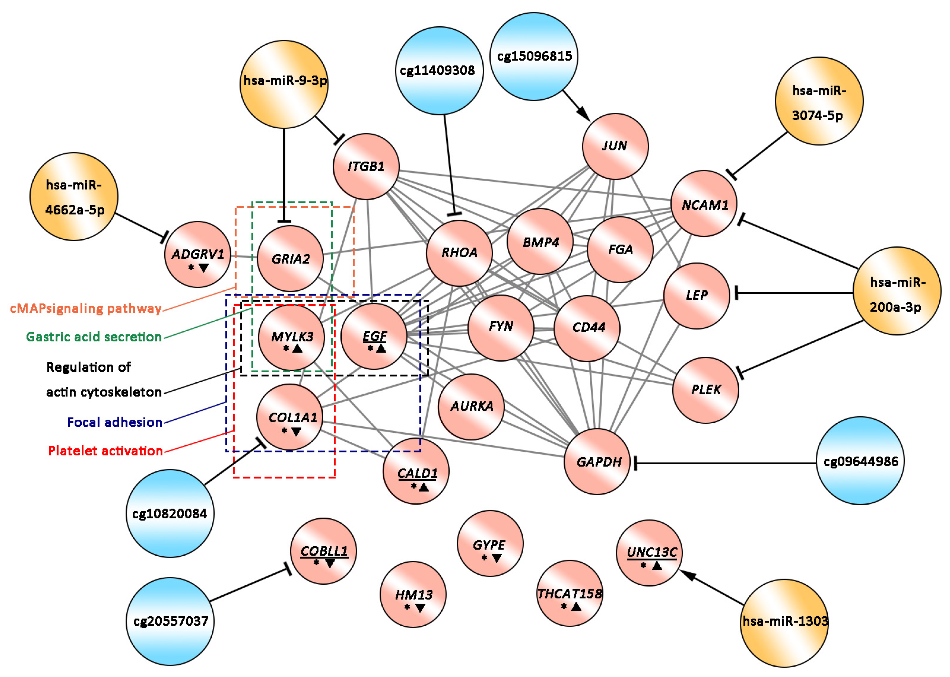 Ijms 25 11757 g006 Ijms 25 11757 g006