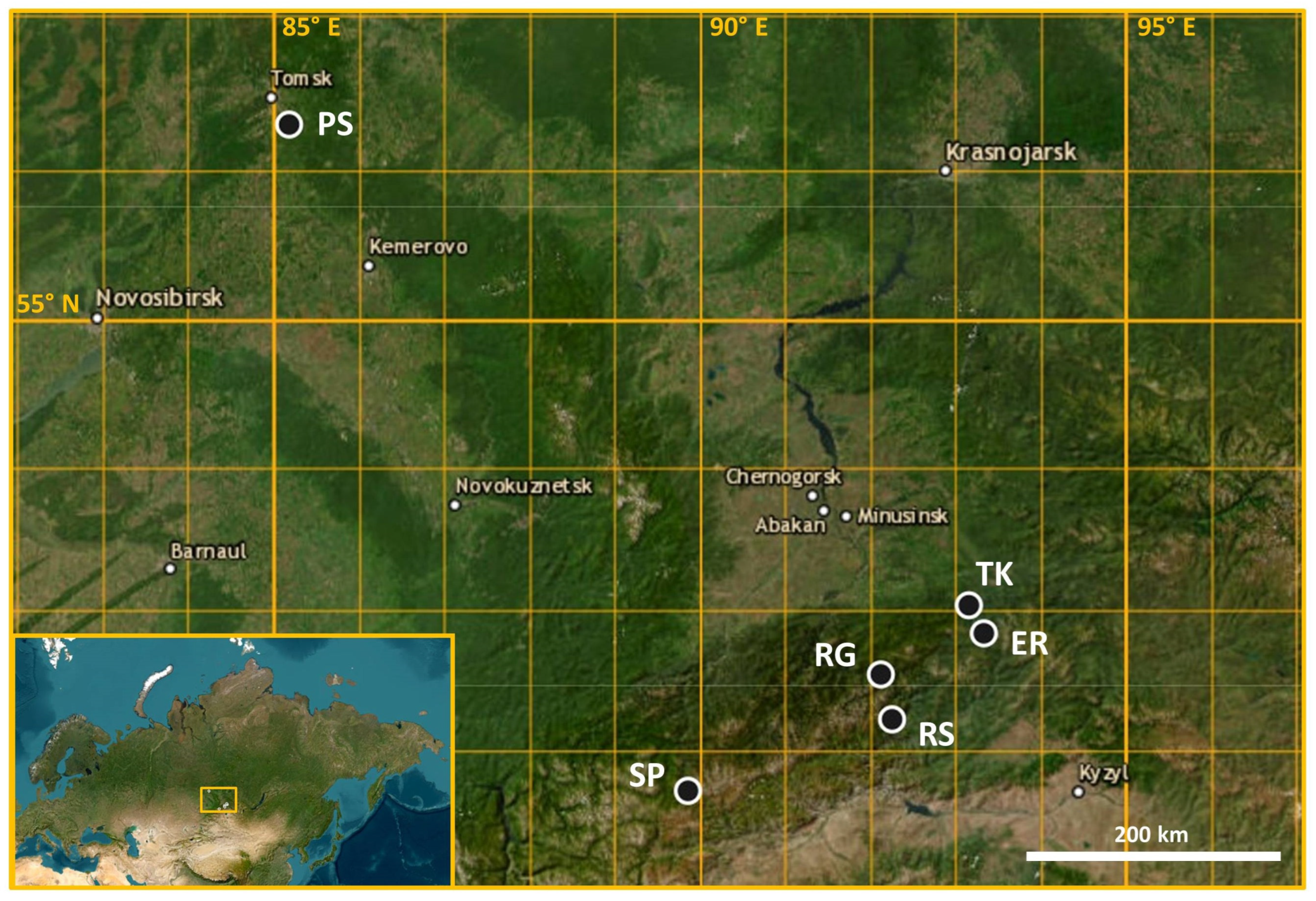 Ijms 25 11767 g009 Ijms 25 11767 g009