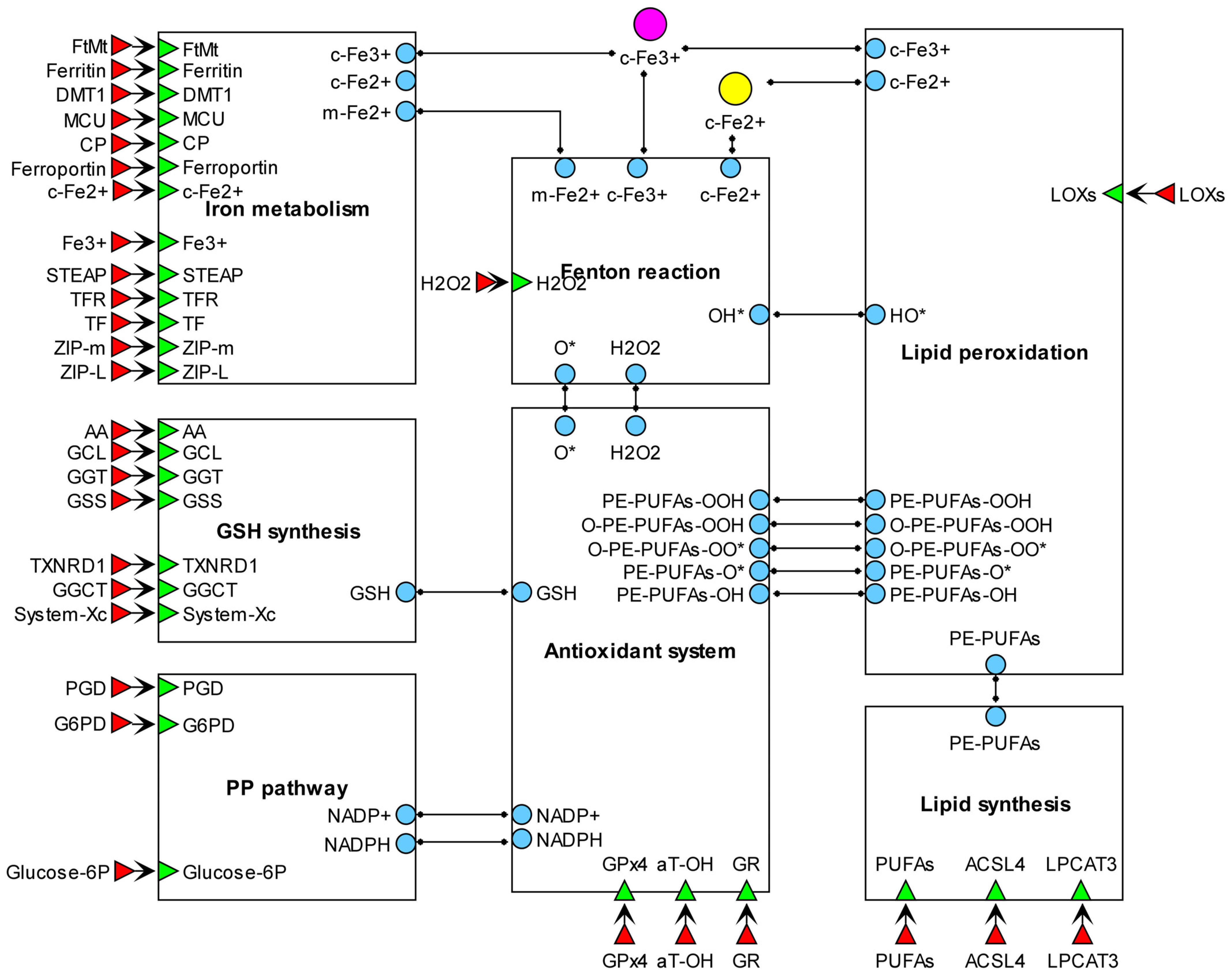 Ijms 25 11782 g001 Ijms 25 11782 g001