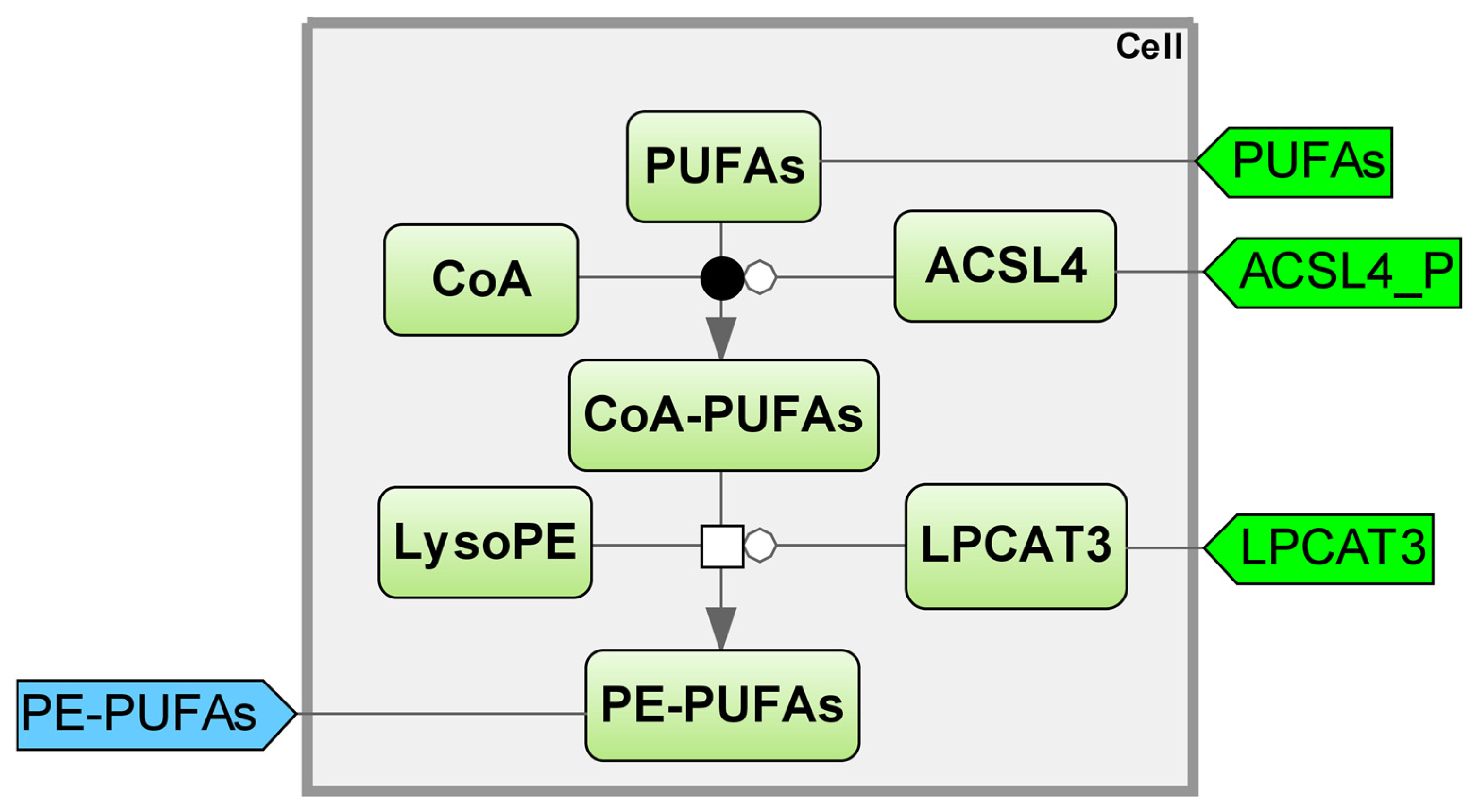 Ijms 25 11782 g004 Ijms 25 11782 g004