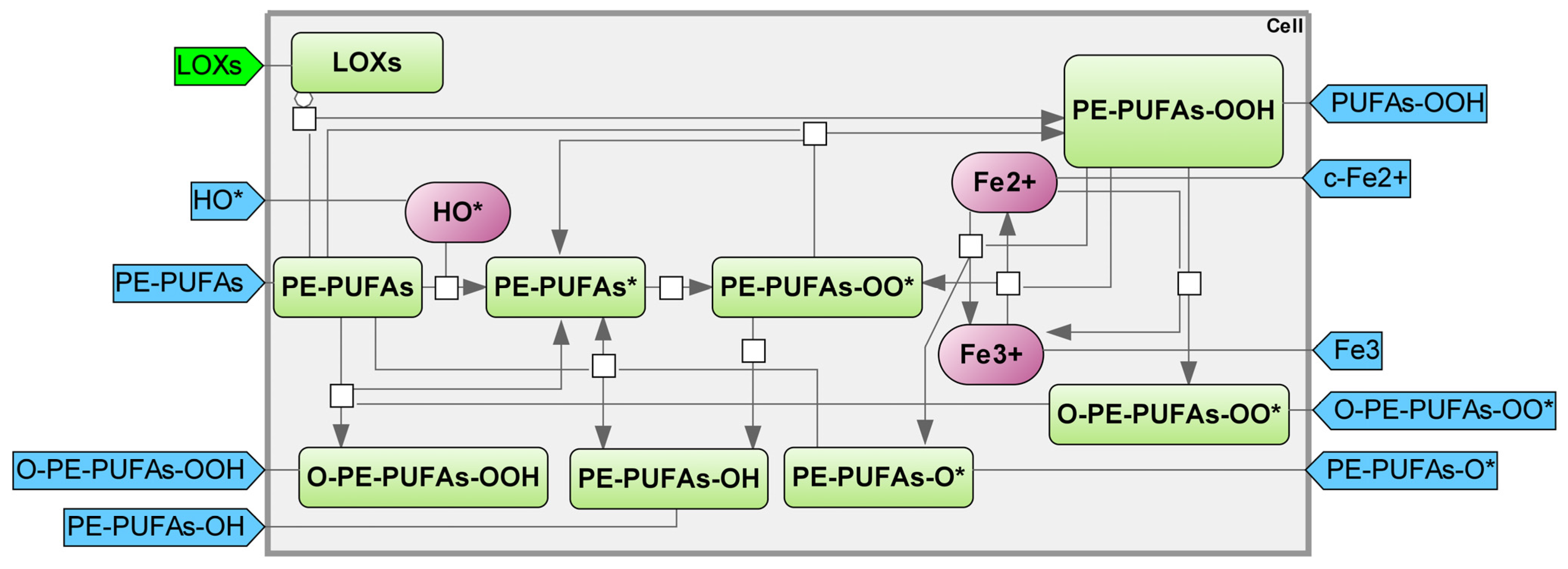 Ijms 25 11782 g005 Ijms 25 11782 g005