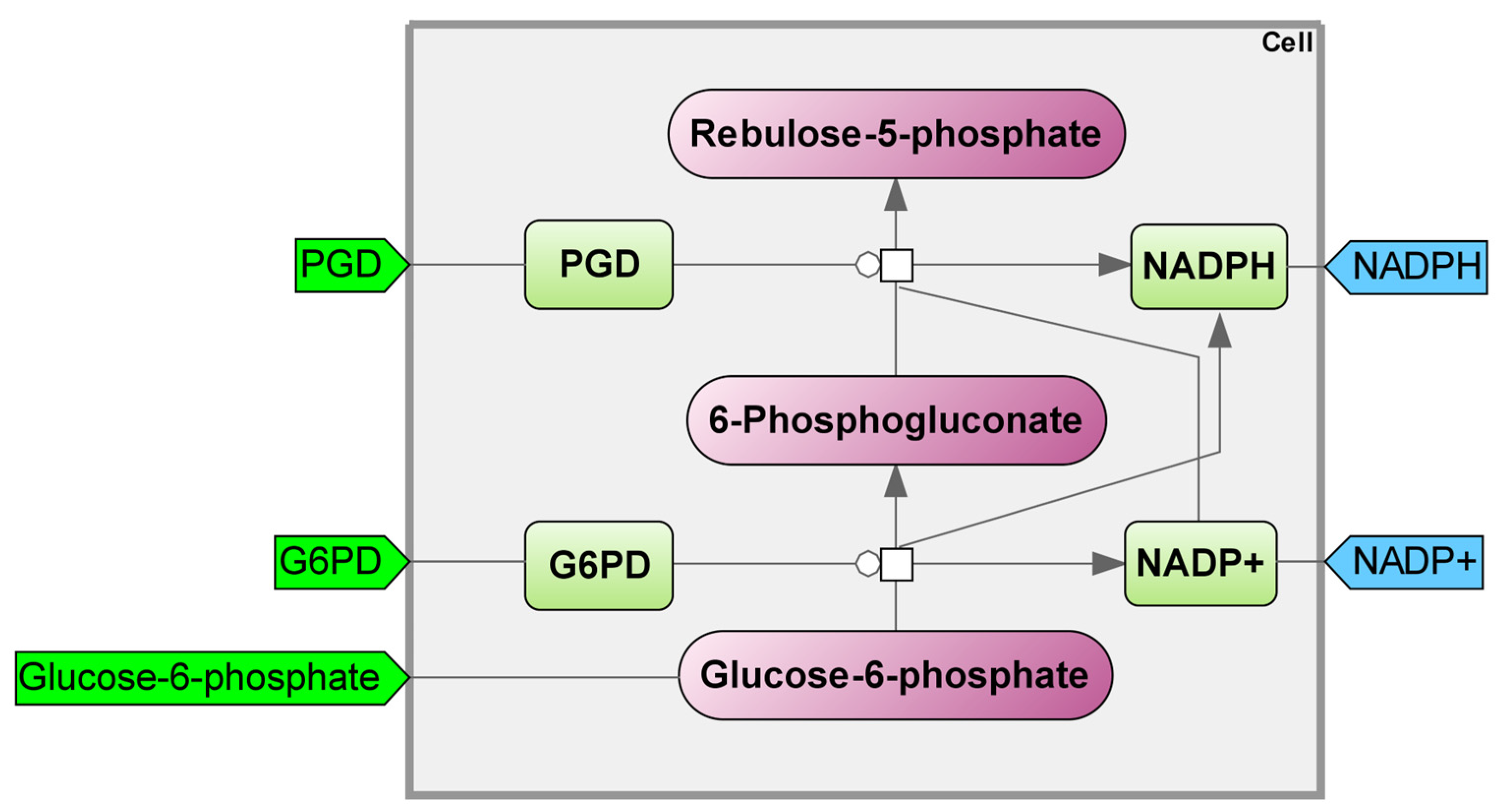 Ijms 25 11782 g006 Ijms 25 11782 g006