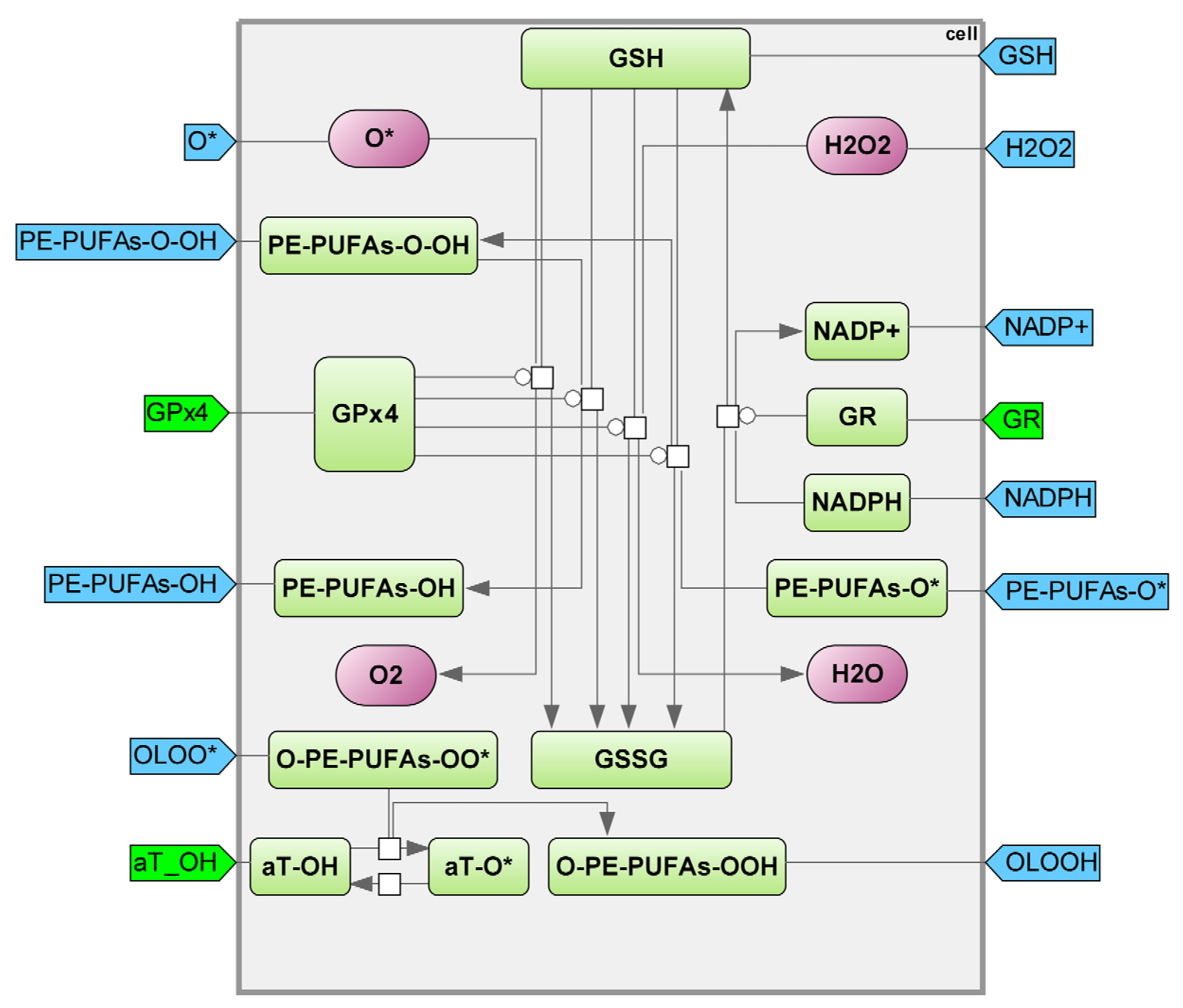 Ijms 25 11782 g007 Ijms 25 11782 g007
