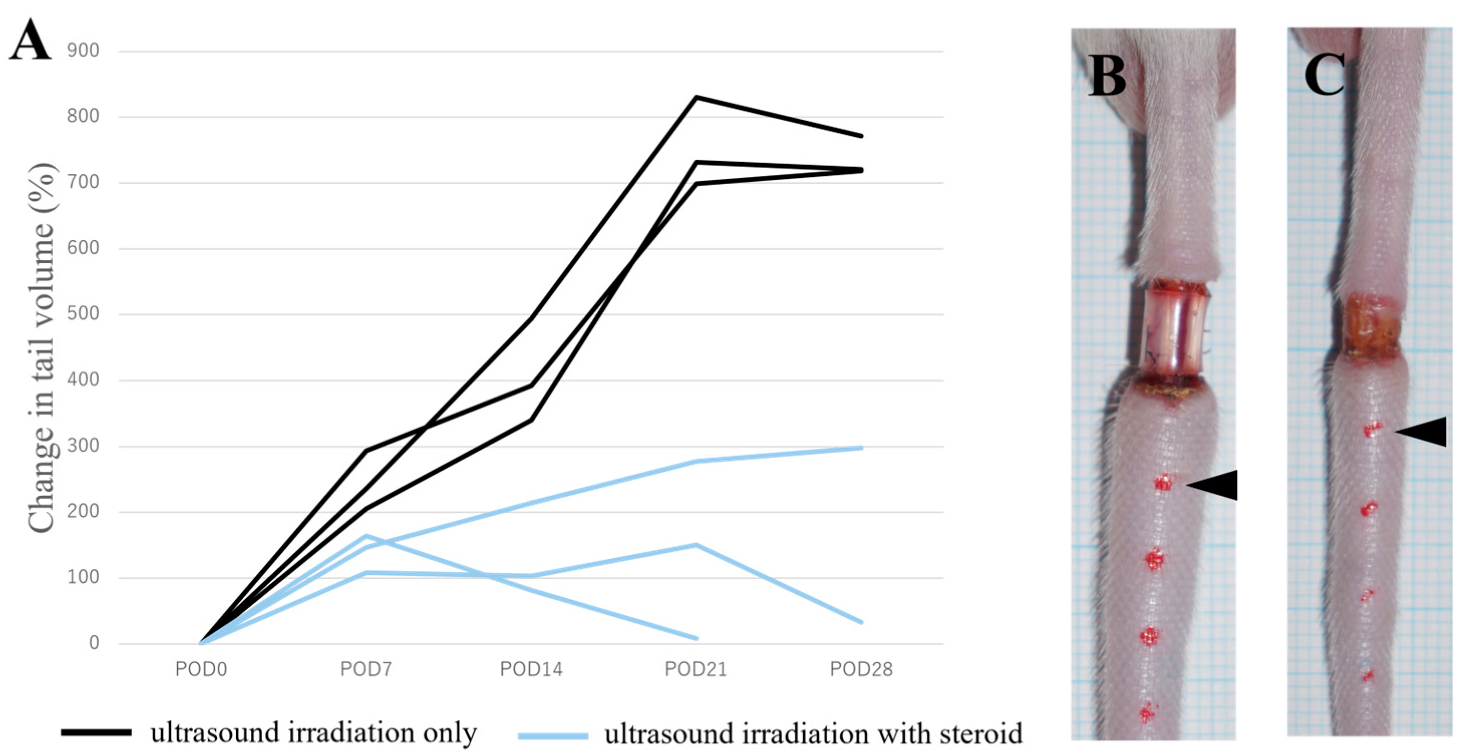Ijms 25 11883 g002 Ijms 25 11883 g002