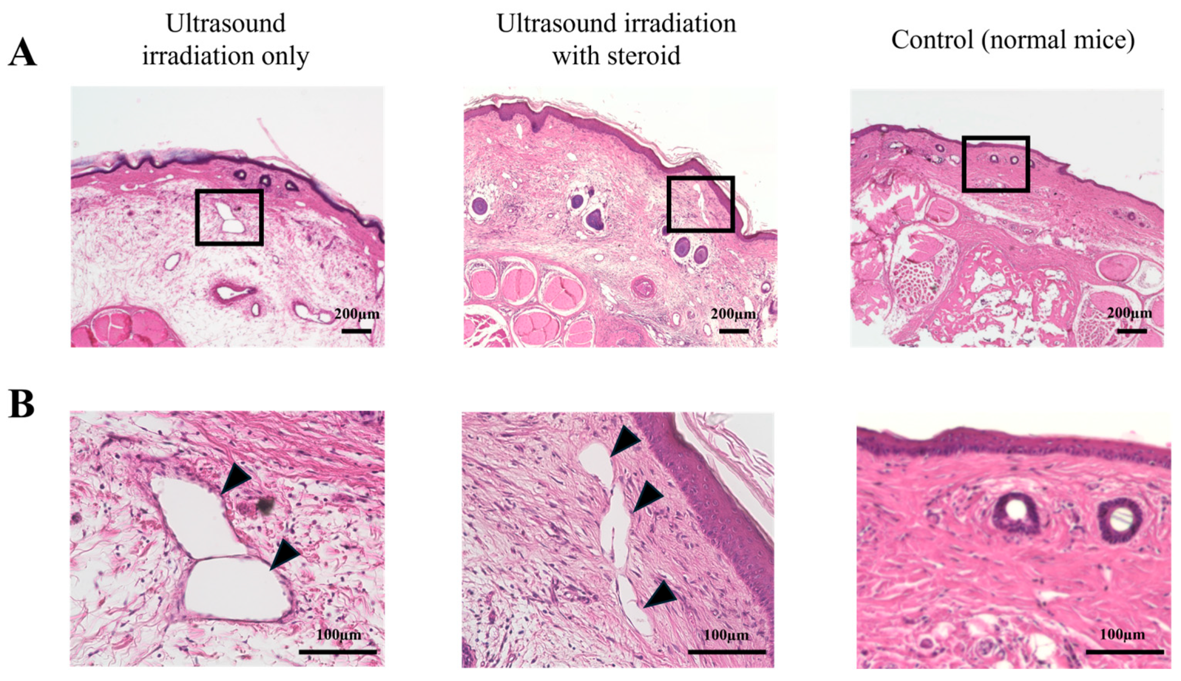 Ijms 25 11883 g003 Ijms 25 11883 g003