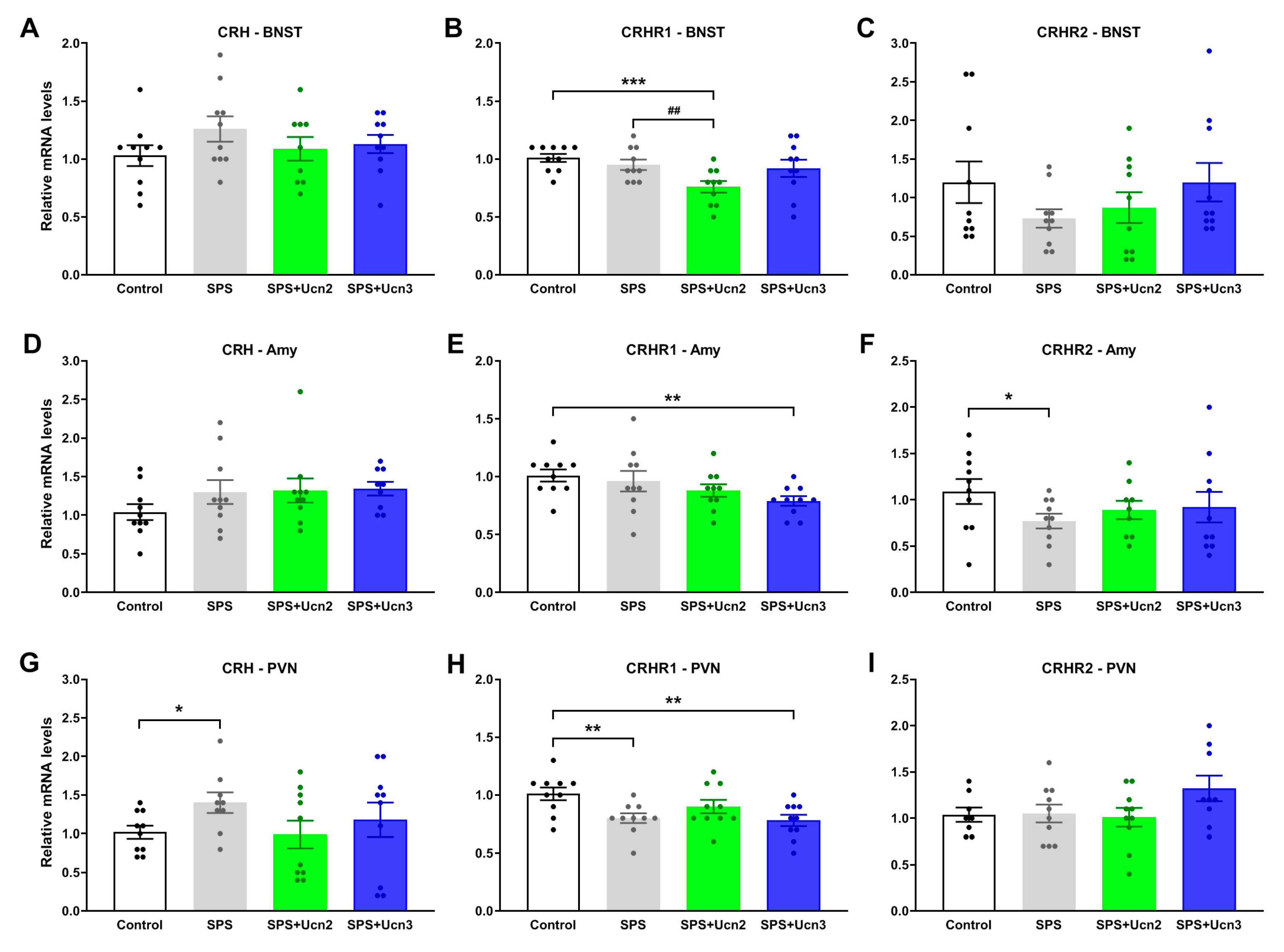Ijms 25 11908 g004 Ijms 25 11908 g004