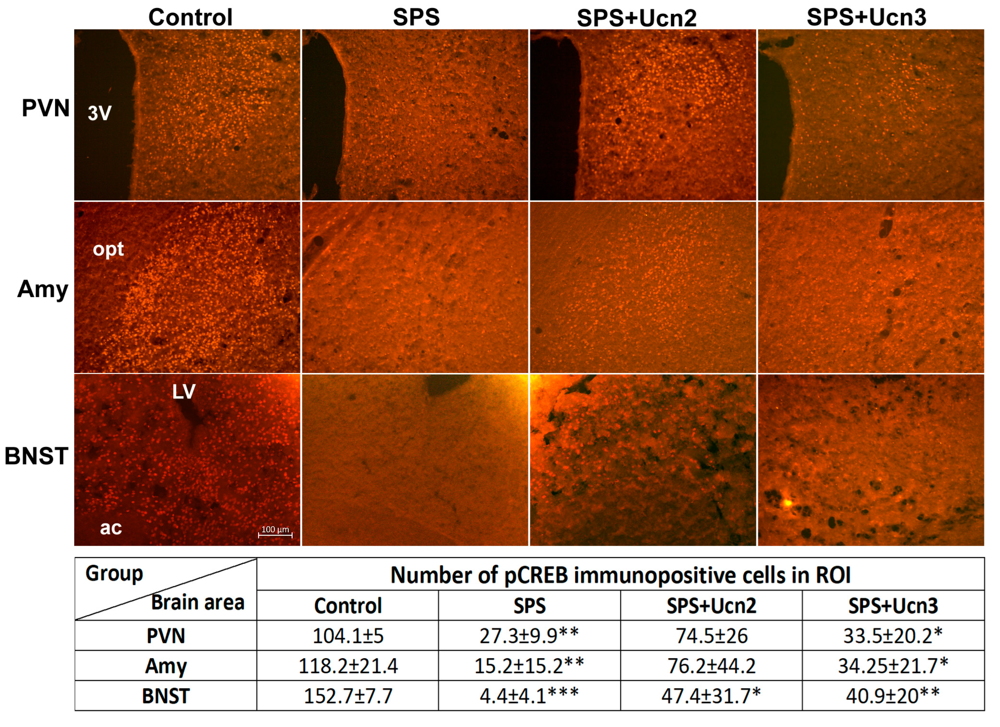 Ijms 25 11908 g007 Ijms 25 11908 g007