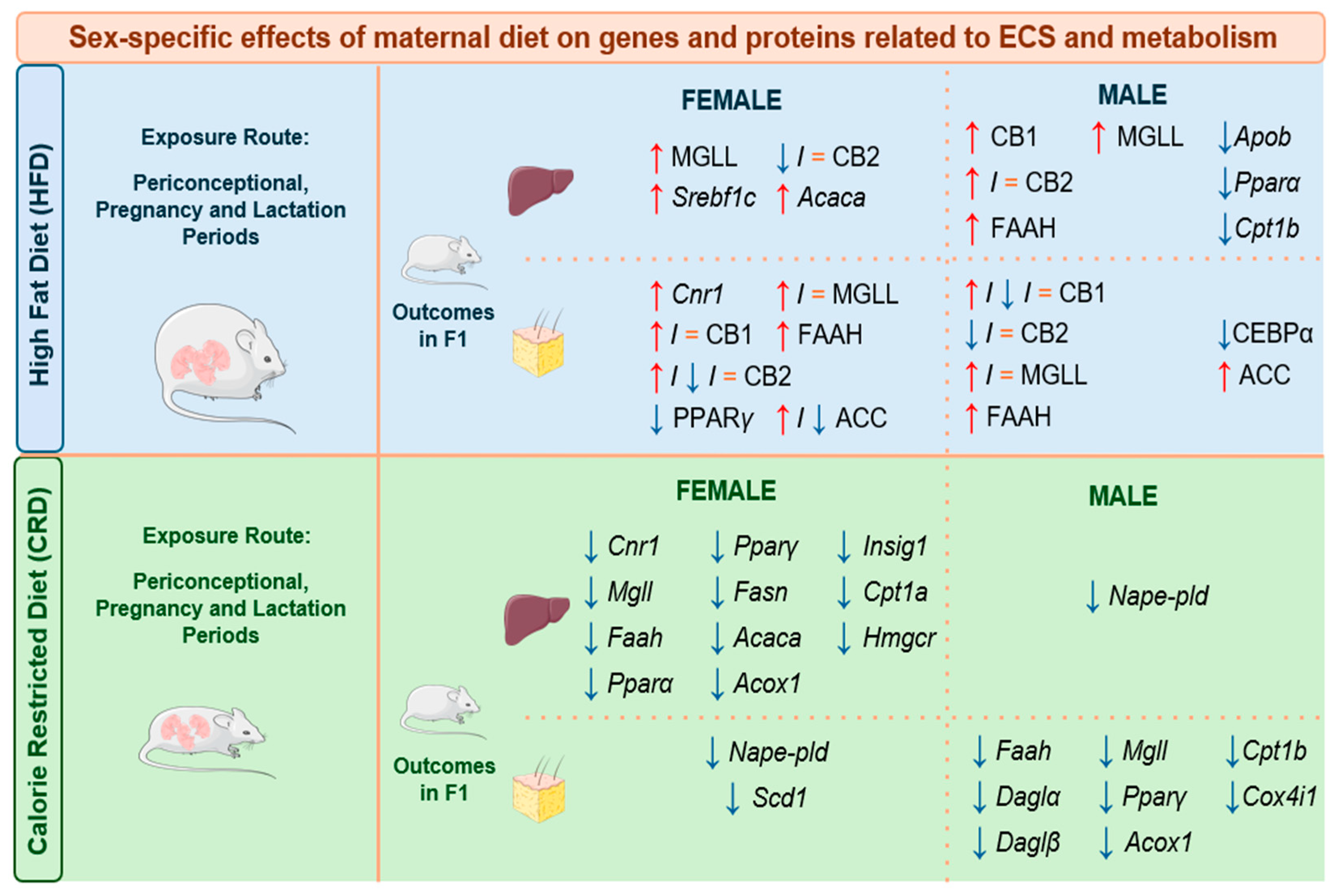 Ijms 25 11909 g002 Ijms 25 11909 g002