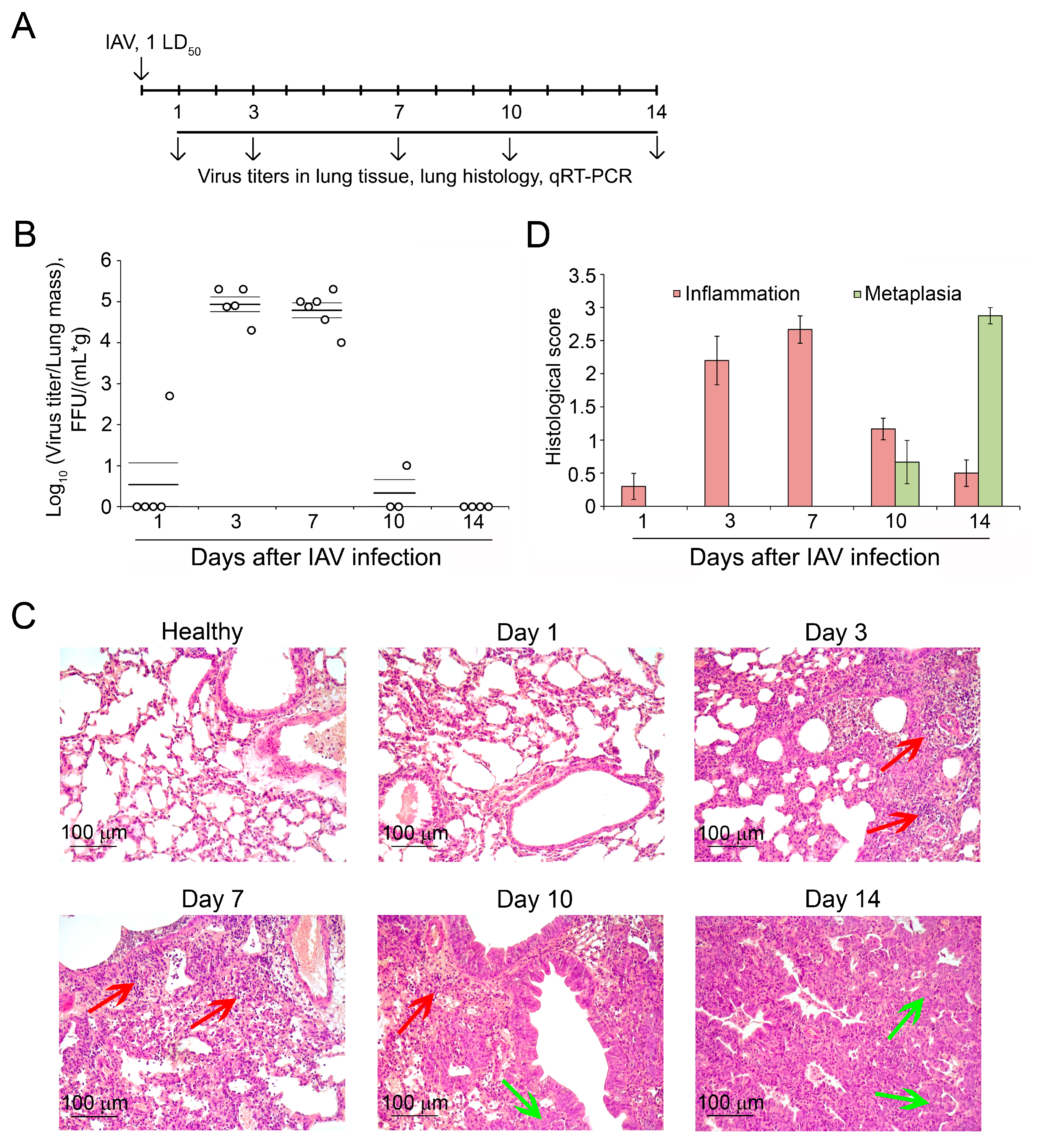 Ijms 25 11958 g001 Ijms 25 11958 g001