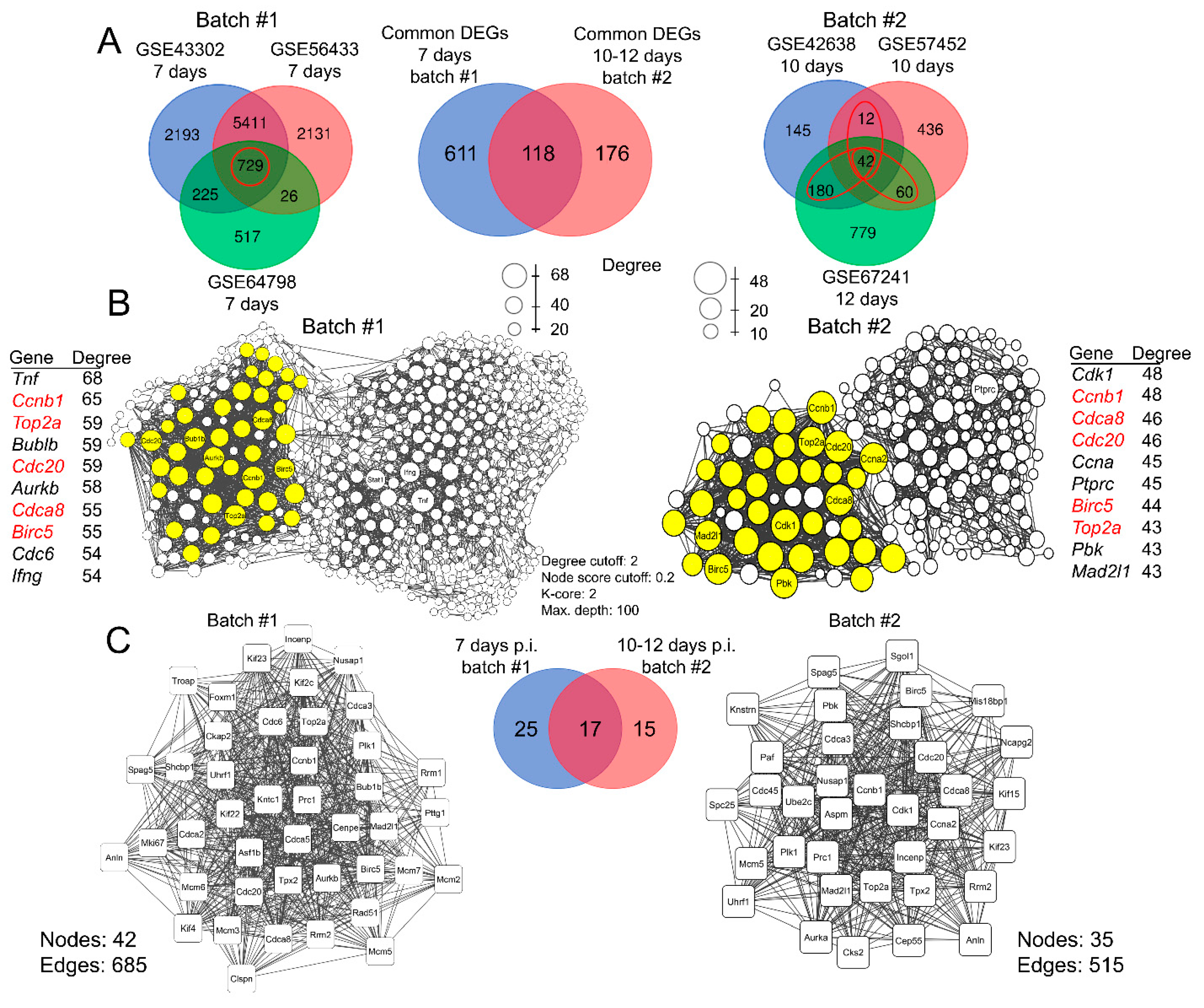 Ijms 25 11958 g002 Ijms 25 11958 g002