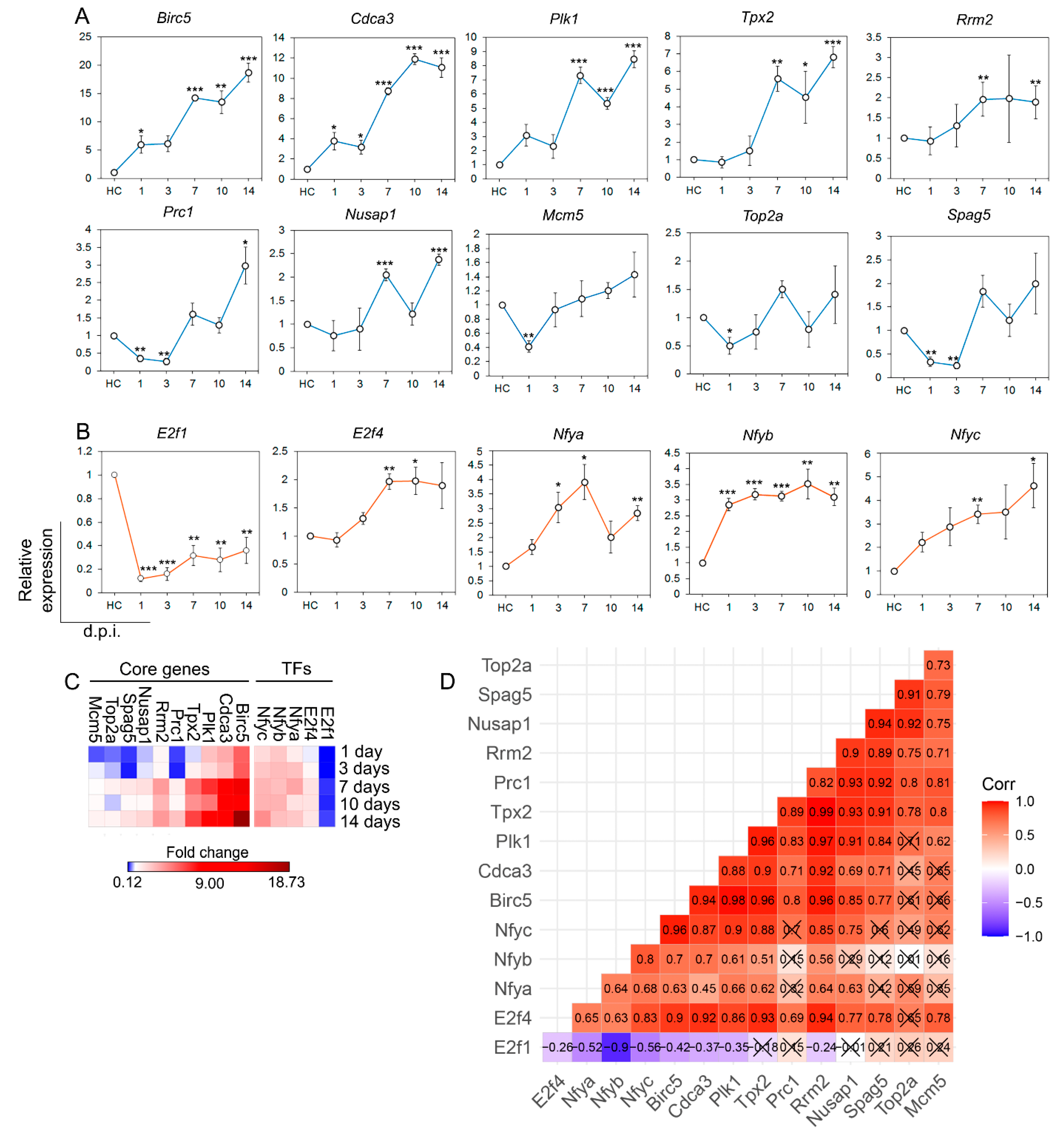 Ijms 25 11958 g004 Ijms 25 11958 g004
