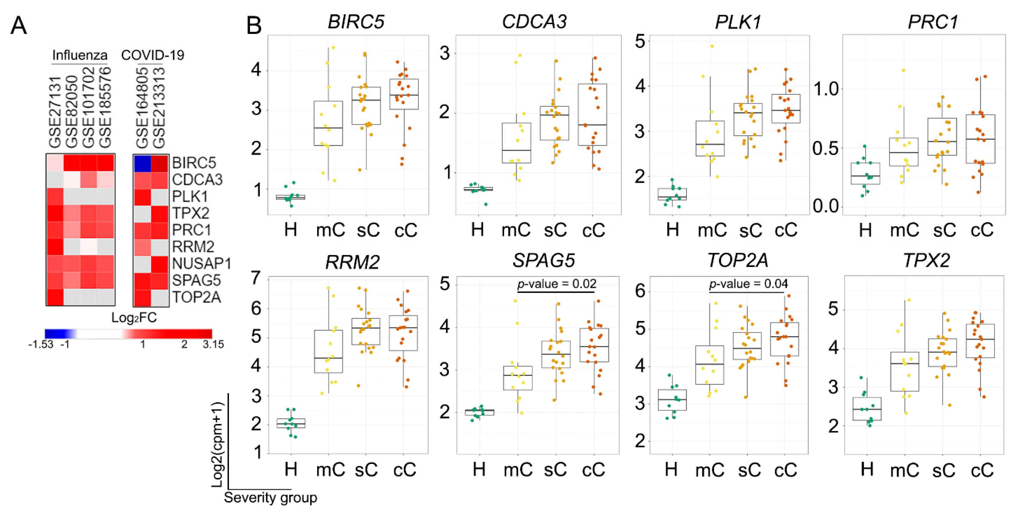 Ijms 25 11958 g005 Ijms 25 11958 g005