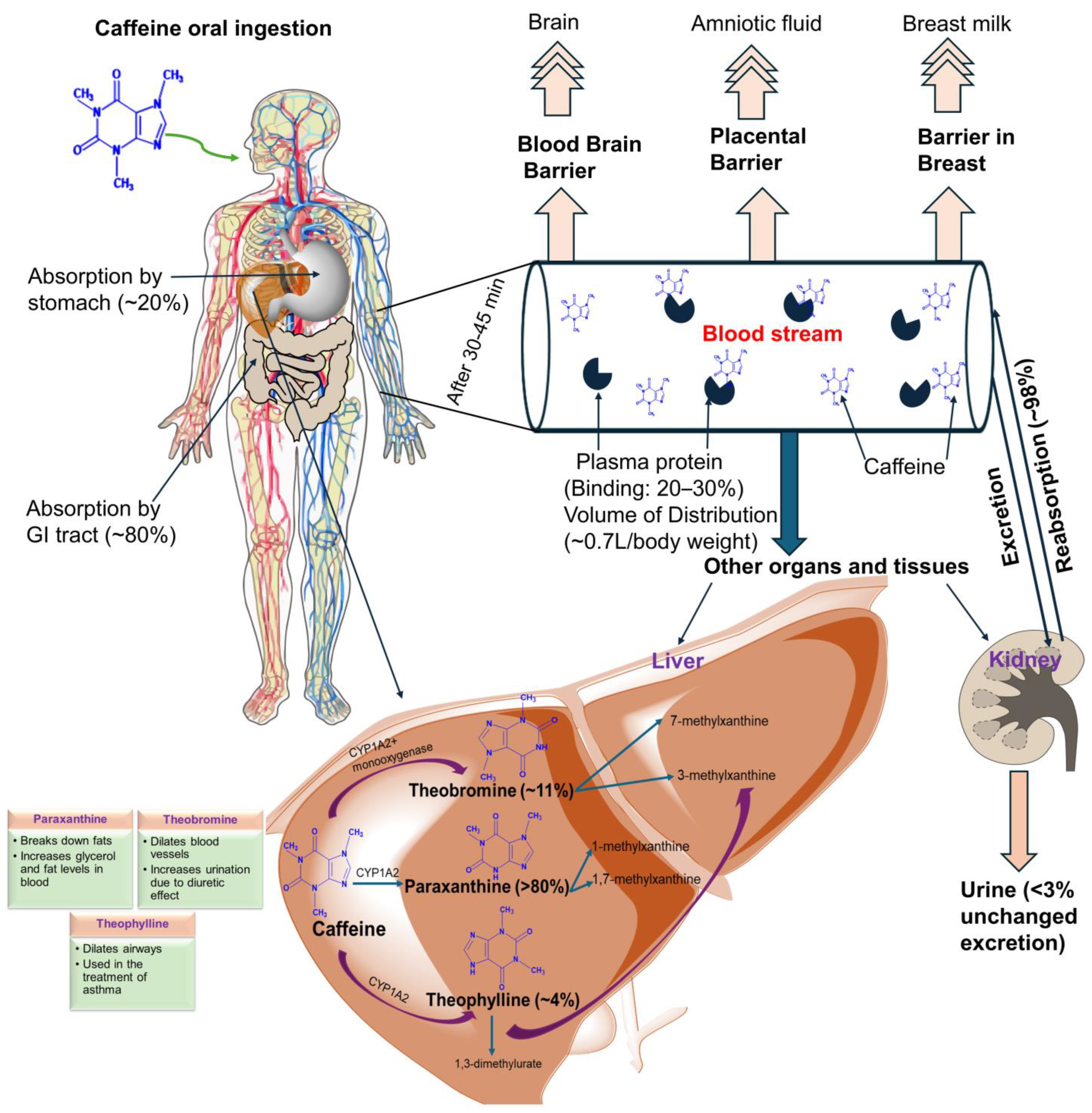 Ijms 25 12003 g002 Ijms 25 12003 g002