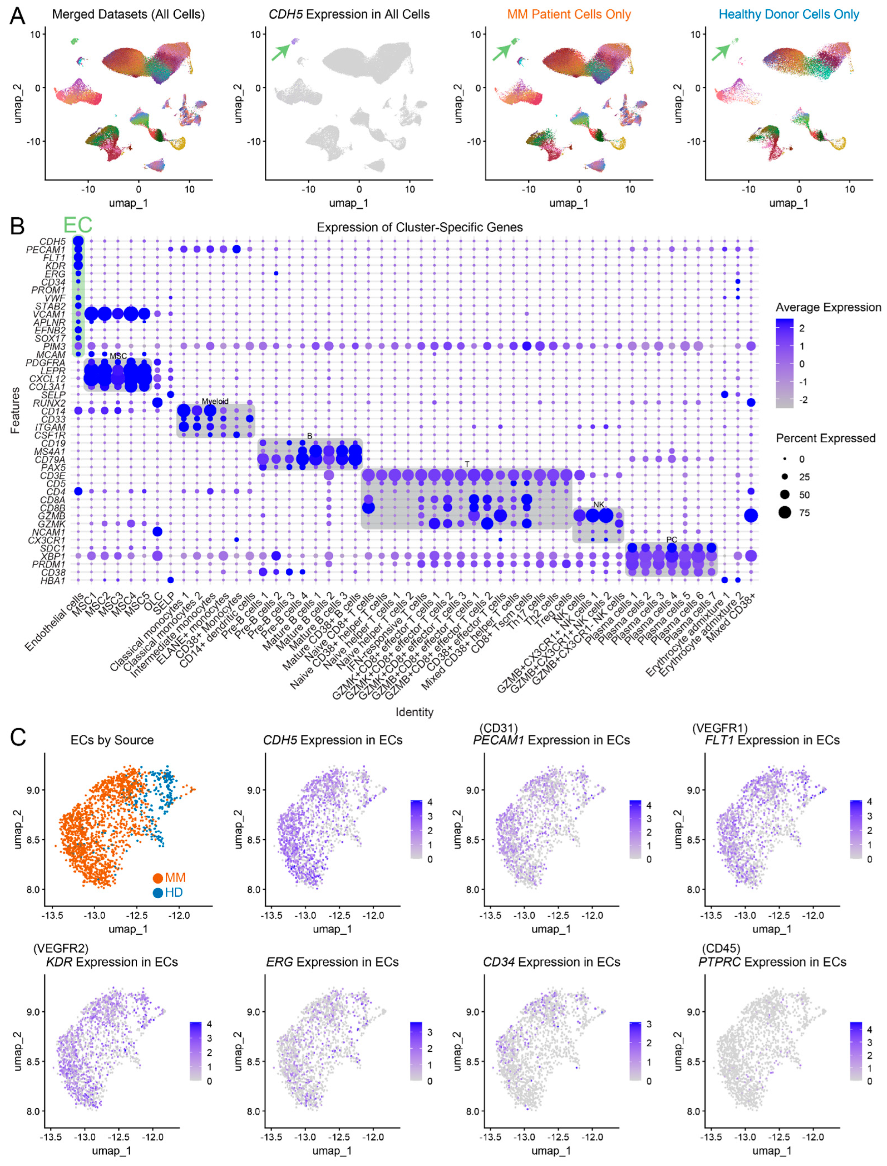 Ijms 25 12047 g001 Ijms 25 12047 g001