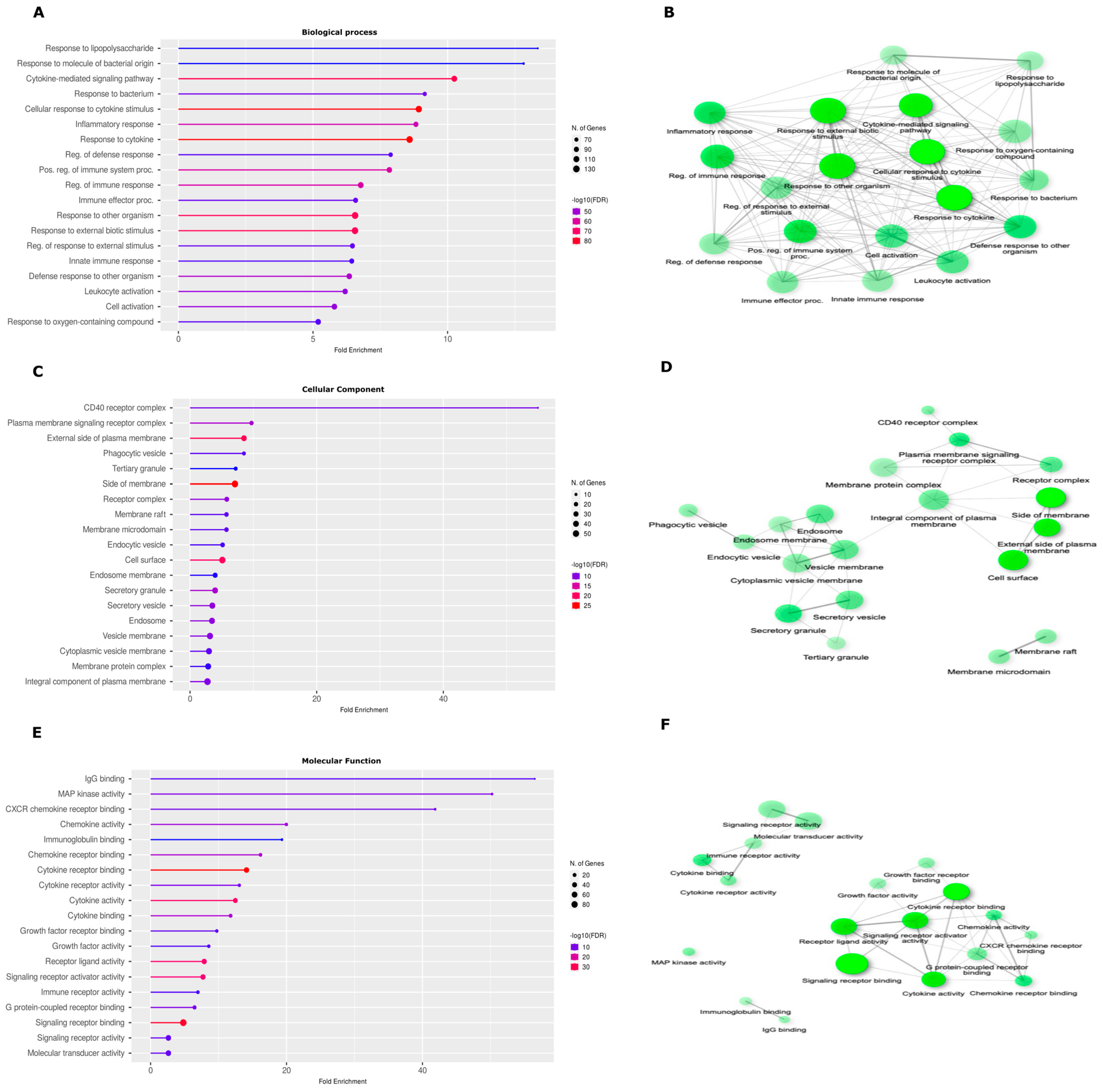 Ijms 25 12084 g001 Ijms 25 12084 g001