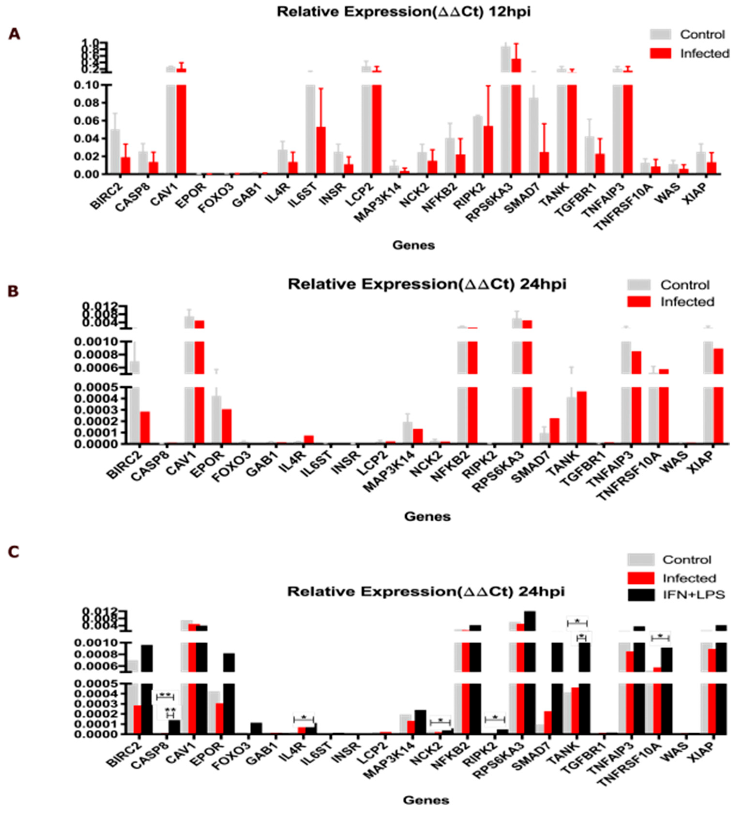 Ijms 25 12084 g004 Ijms 25 12084 g004