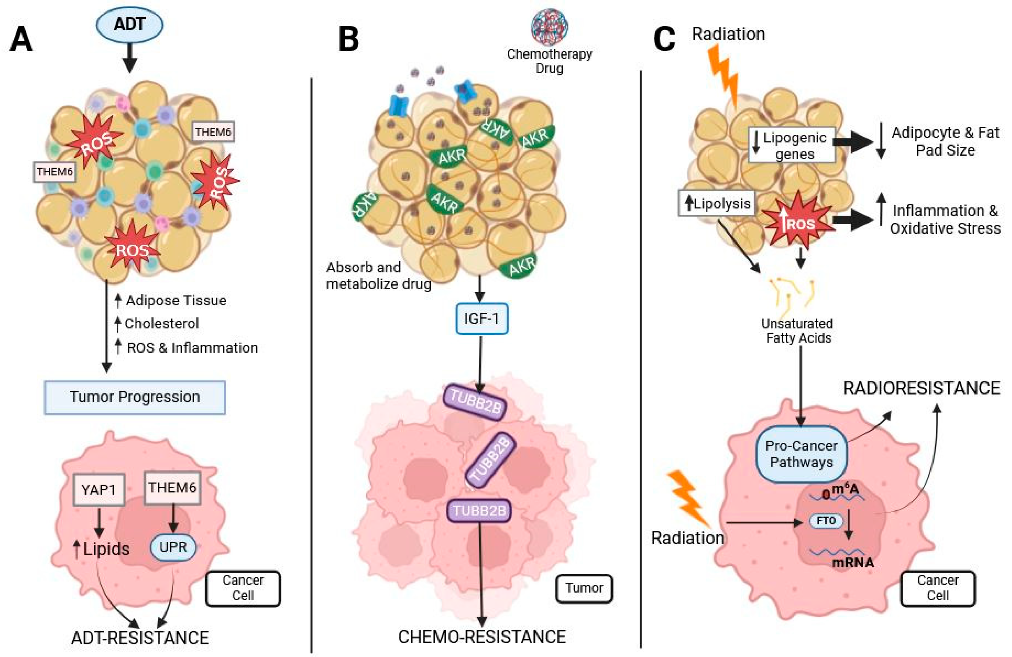 Ijms 25 12137 g003 Ijms 25 12137 g003