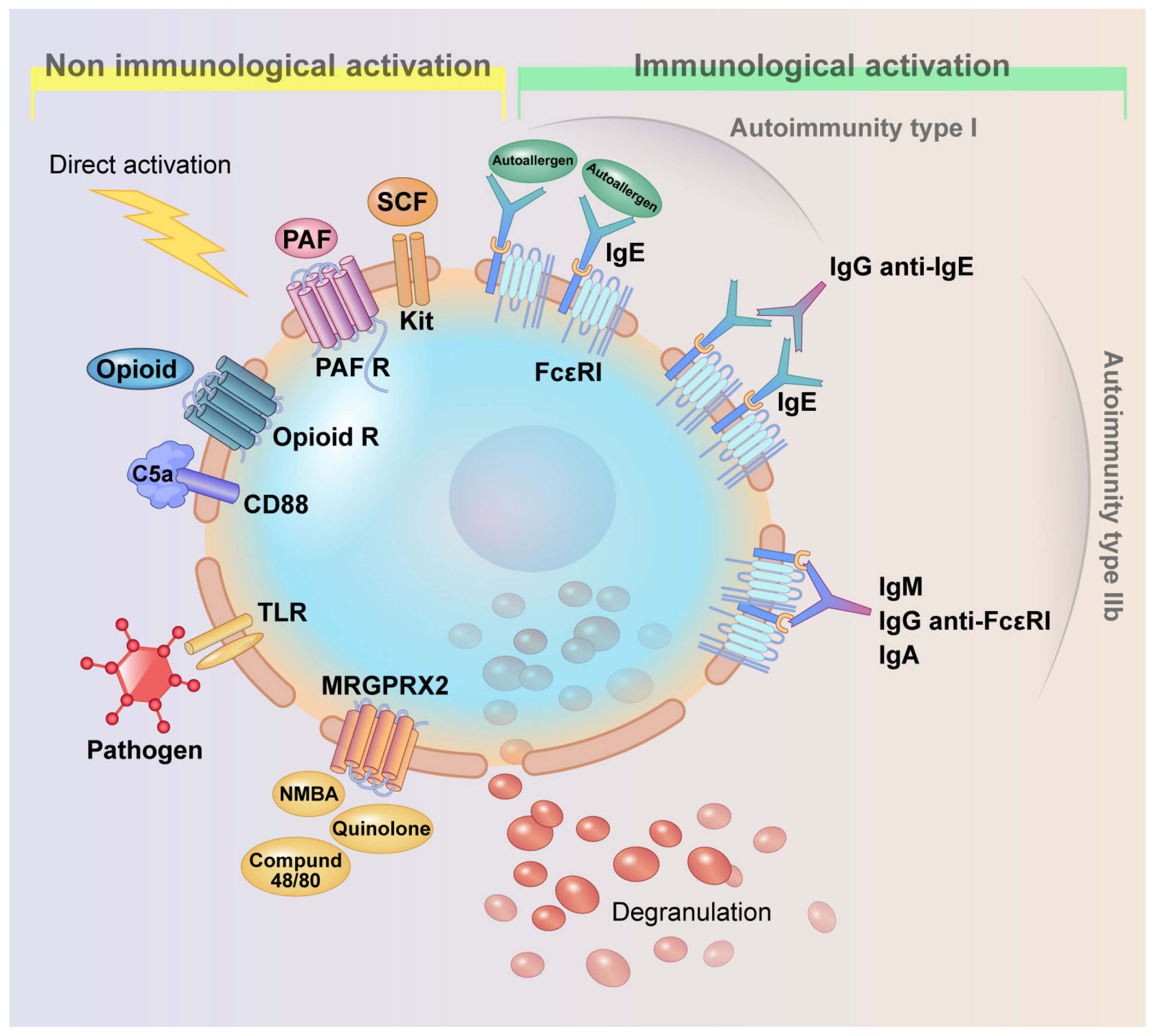 Ijms 25 12143 g001 Ijms 25 12143 g001