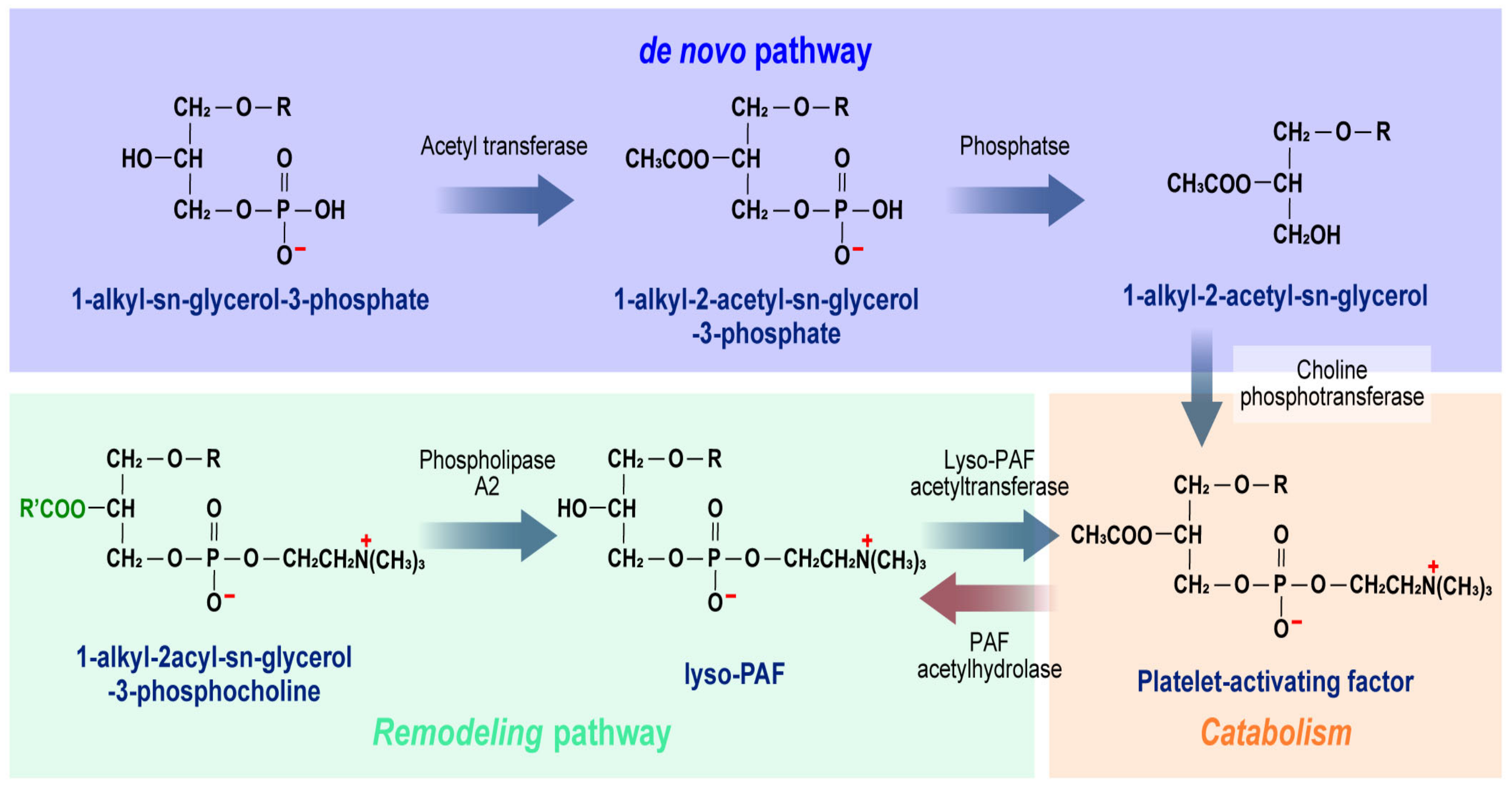 Ijms 25 12143 g002 Ijms 25 12143 g002