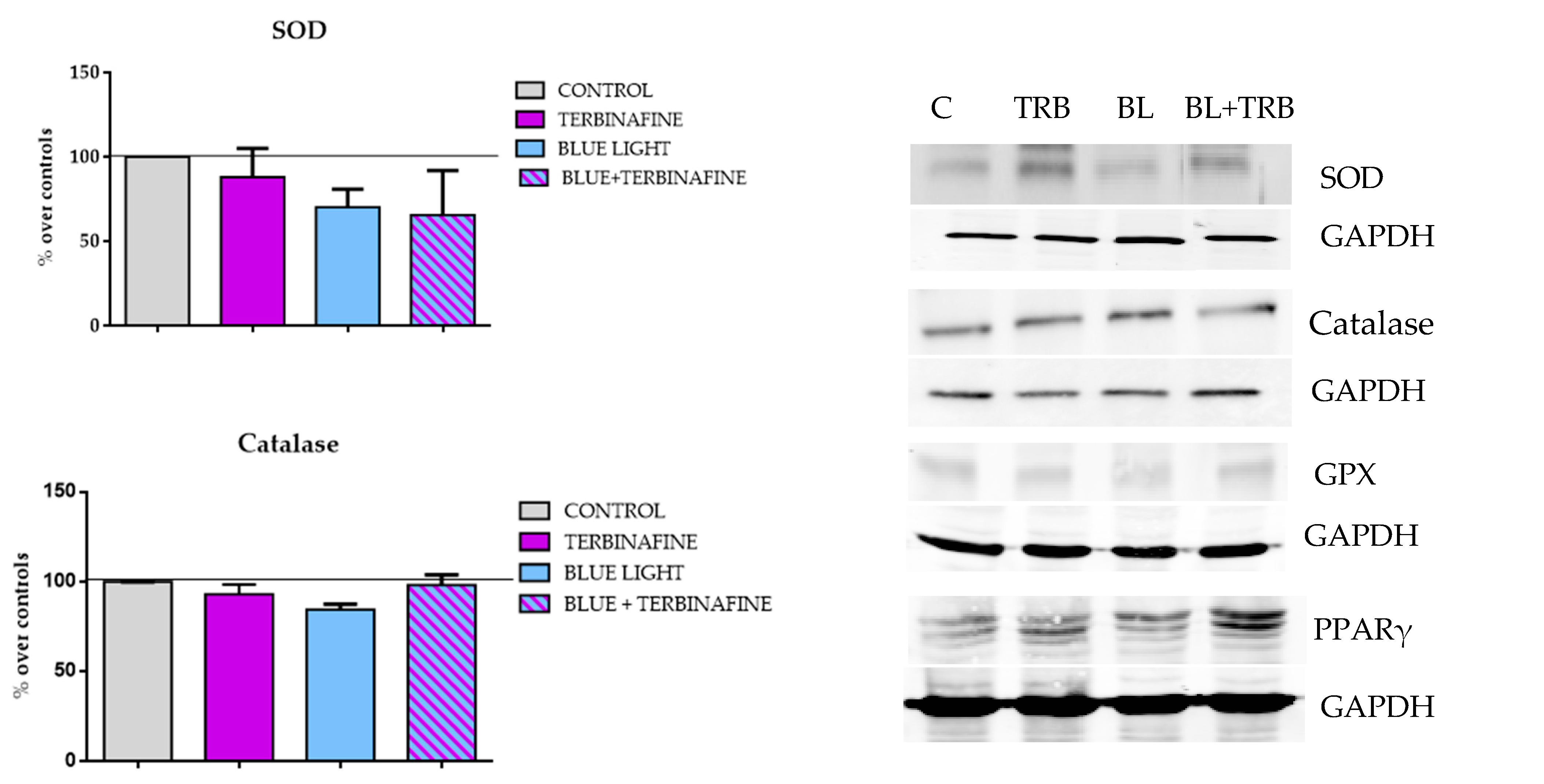 Ijms 25 12145 g003a Ijms 25 12145 g003a
