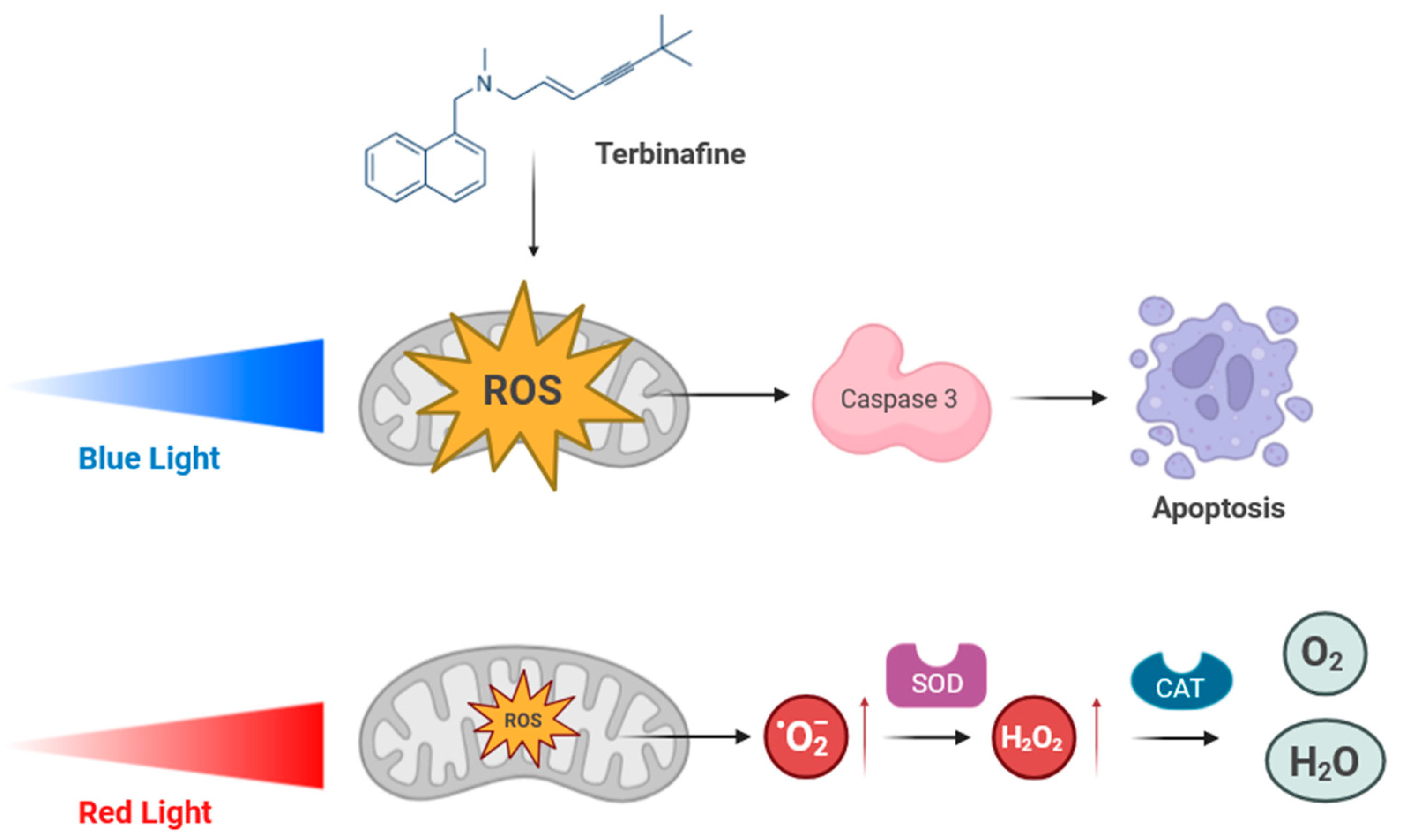 Ijms 25 12145 g006 Ijms 25 12145 g006