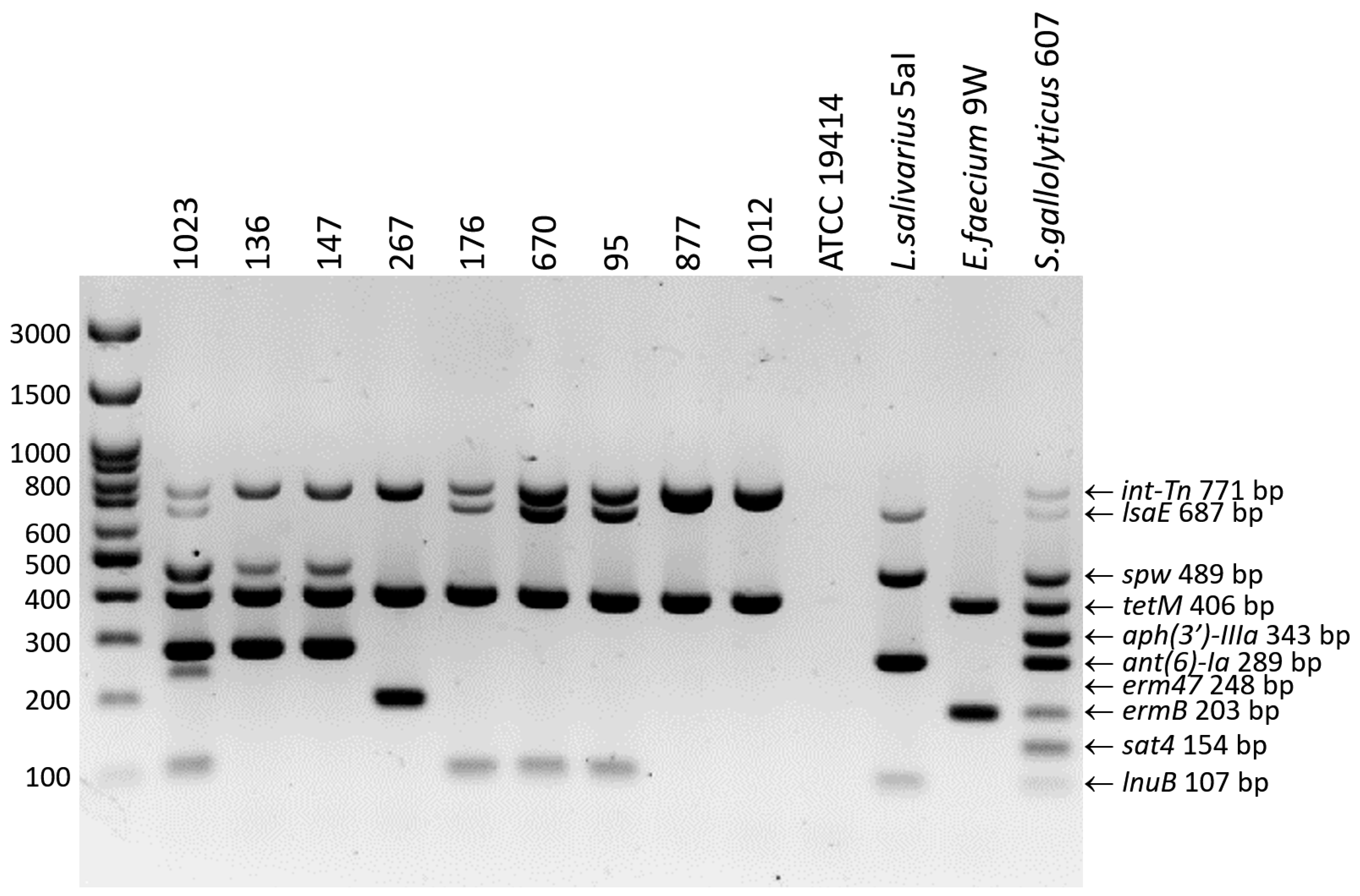 Ijms 25 12192 g001 Ijms 25 12192 g001