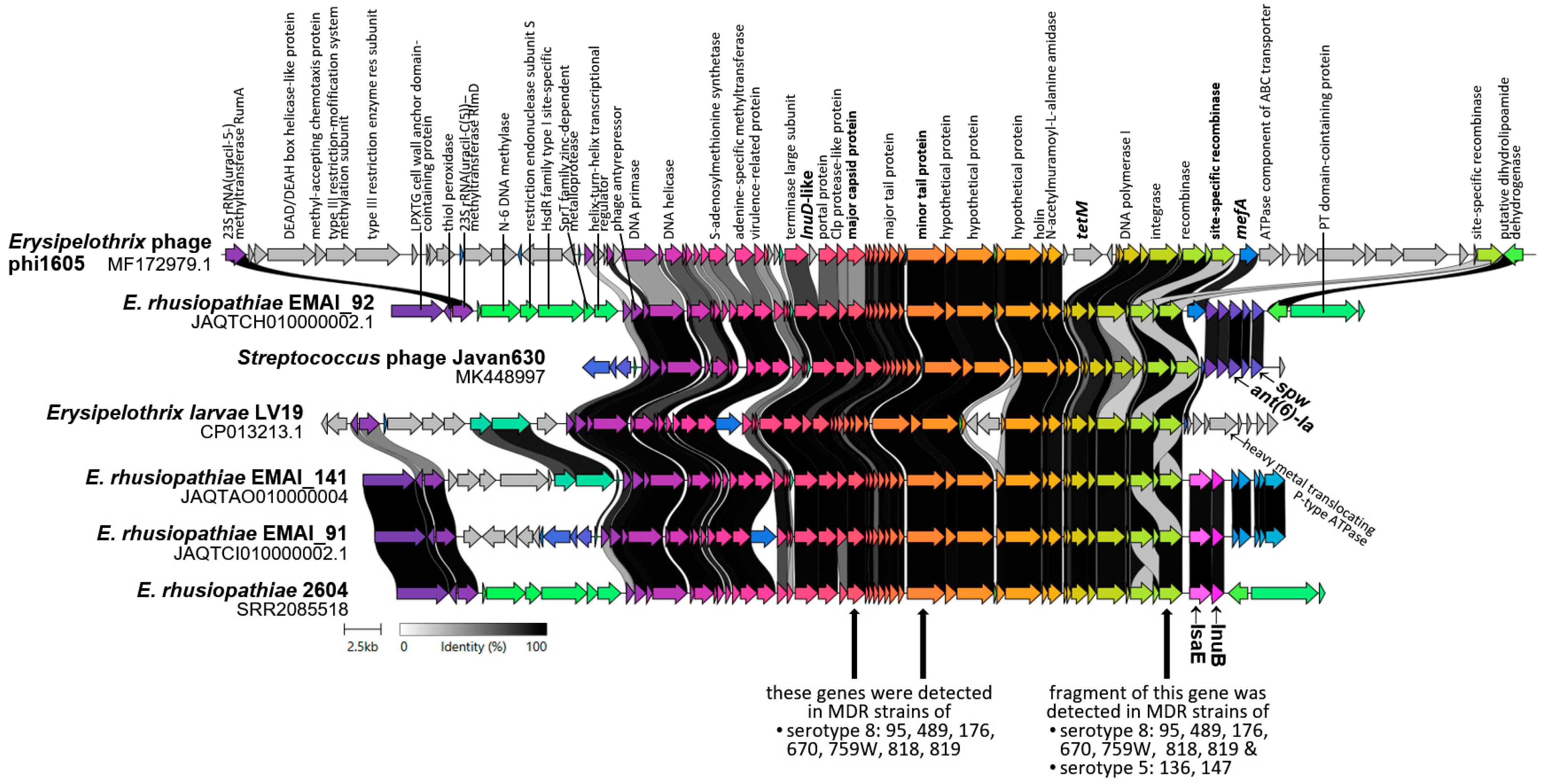 Ijms 25 12192 g002 Ijms 25 12192 g002