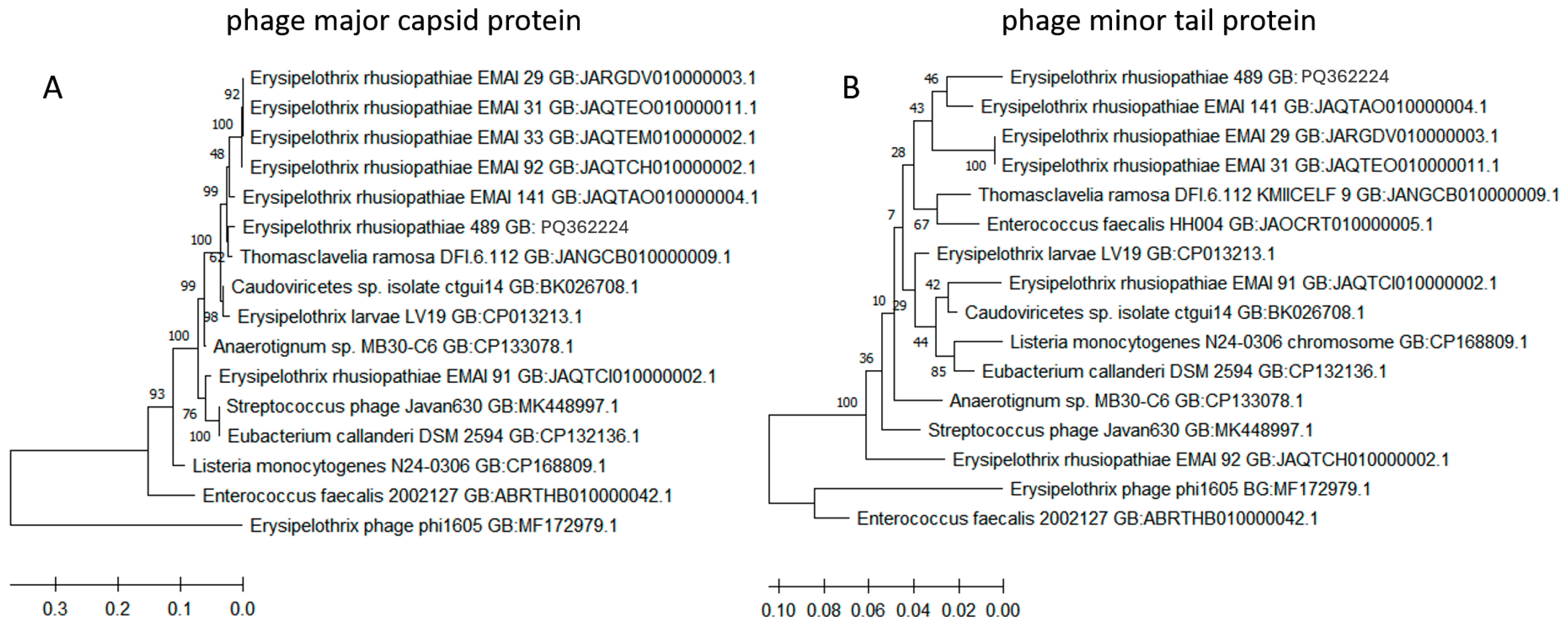 Ijms 25 12192 g003 Ijms 25 12192 g003
