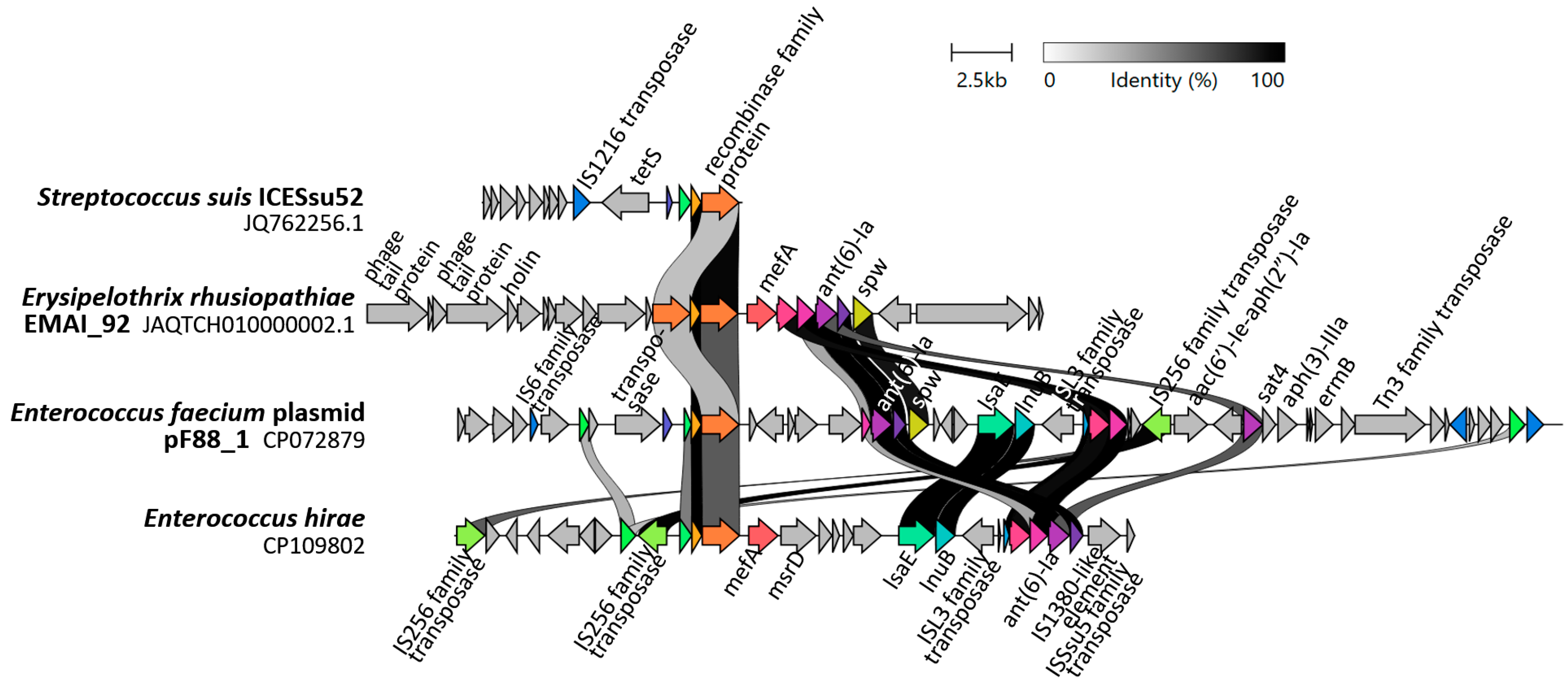 Ijms 25 12192 g0a2 Ijms 25 12192 g0a2