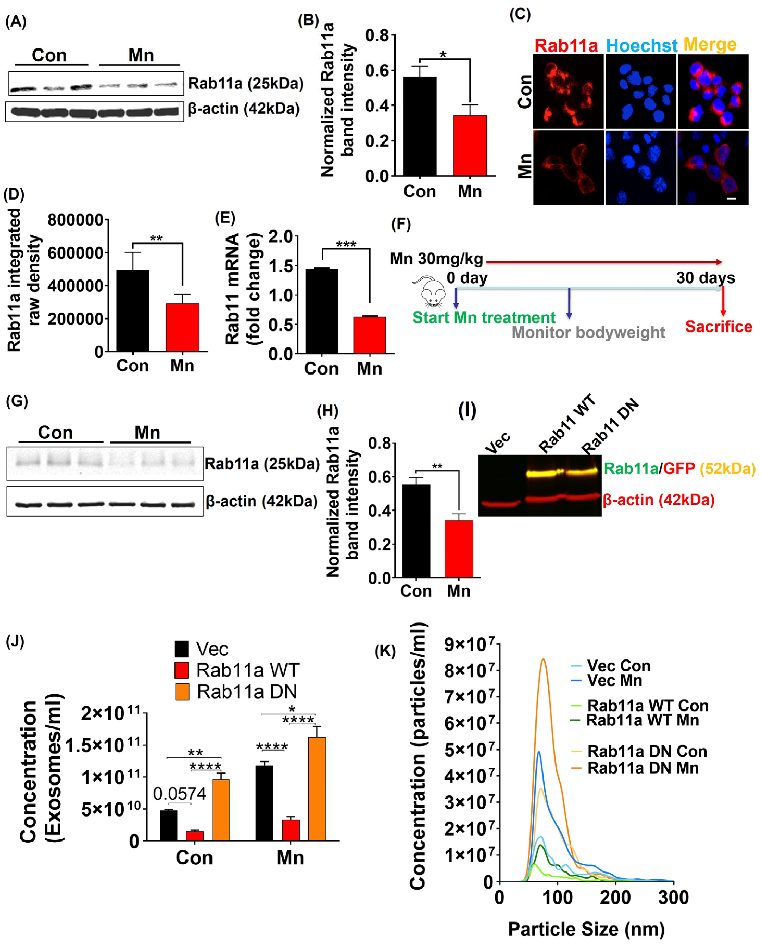Ijms 25 12207 g002 Ijms 25 12207 g002