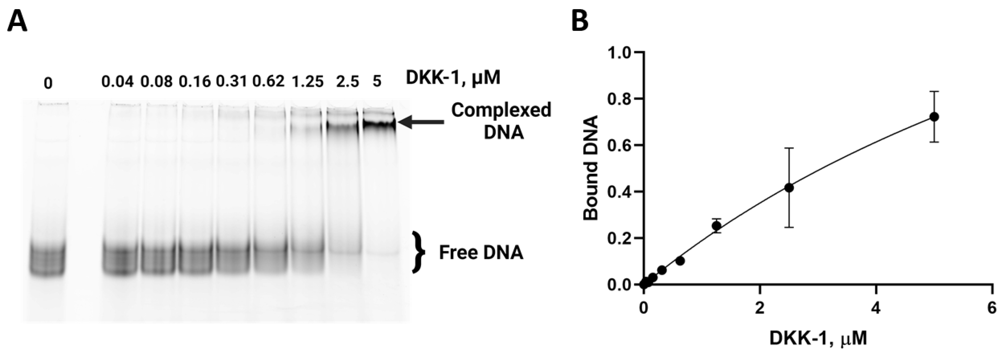 Ijms 25 12214 g001 Ijms 25 12214 g001