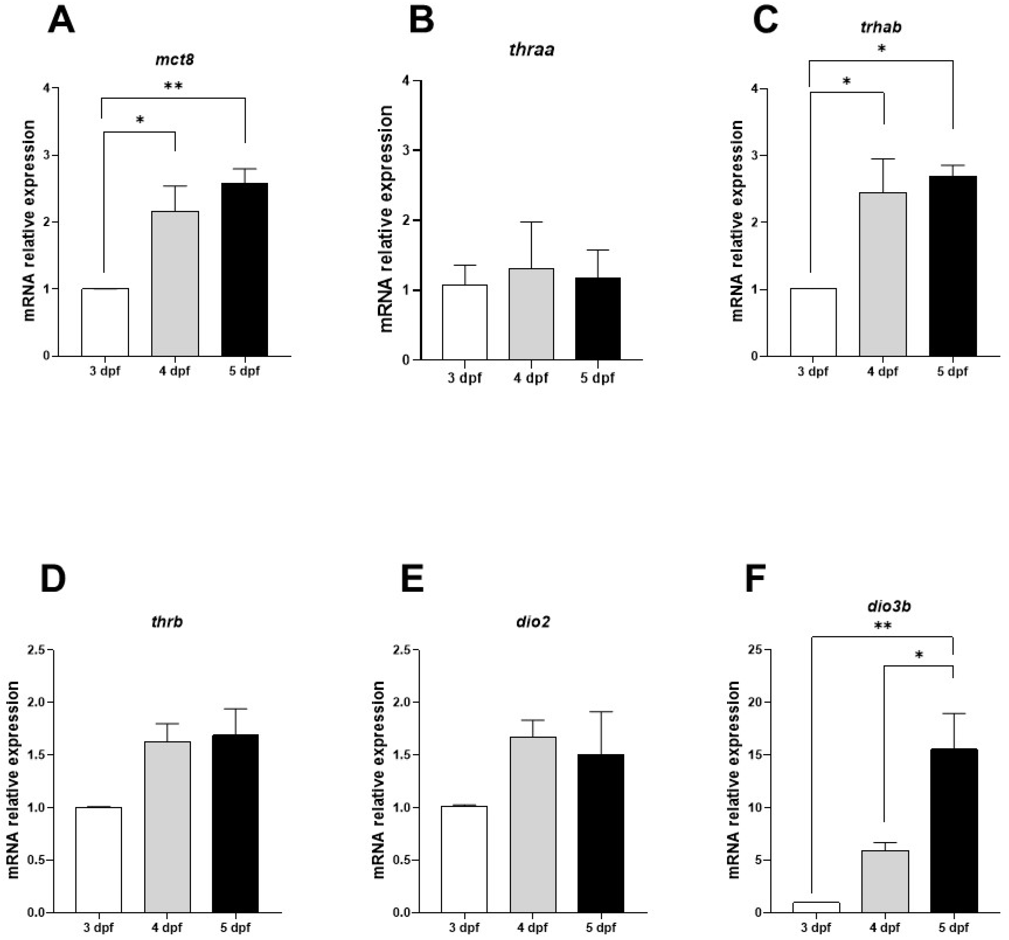 Ijms 25 12215 g001 Ijms 25 12215 g001