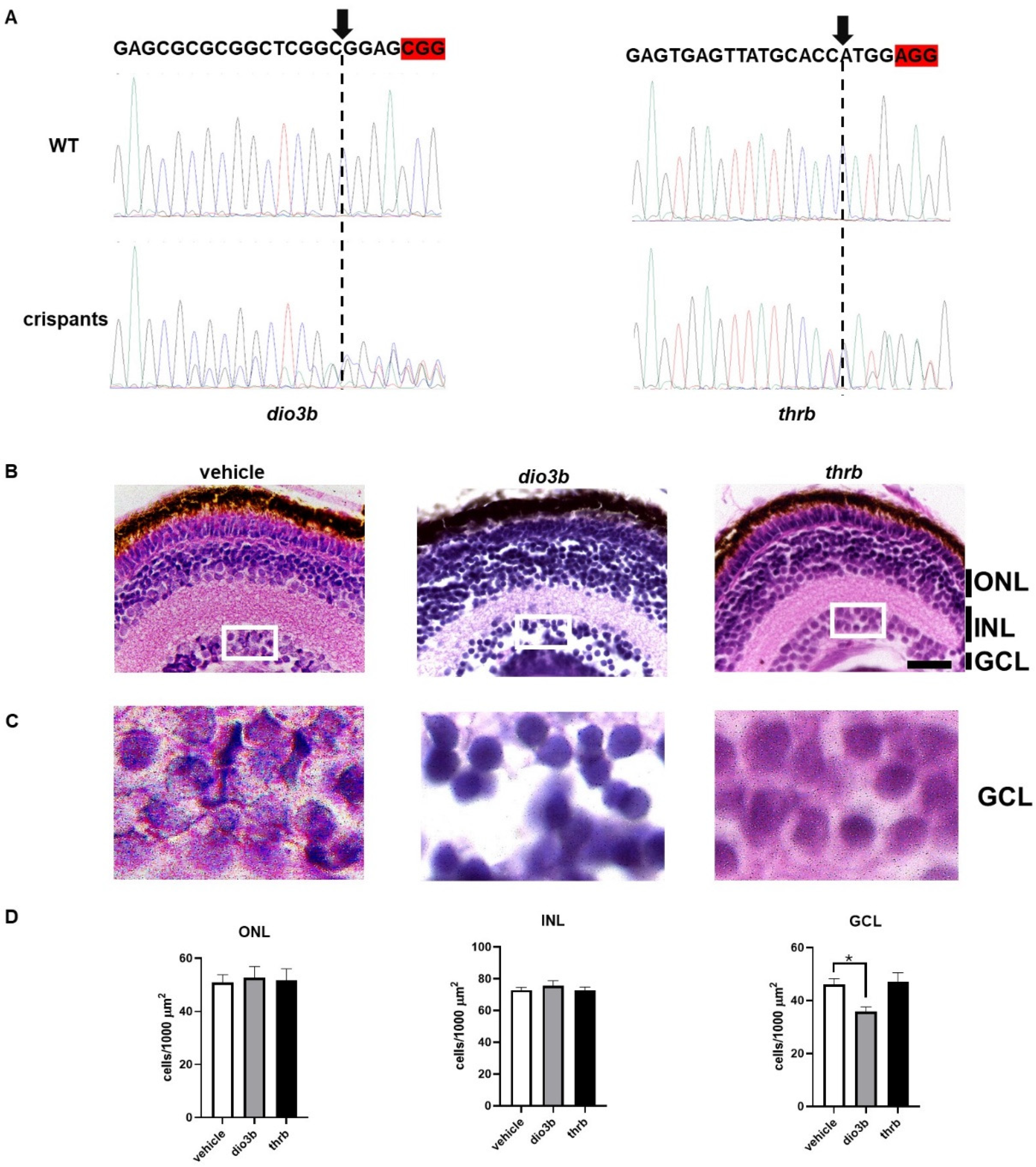 Ijms 25 12215 g002 Ijms 25 12215 g002
