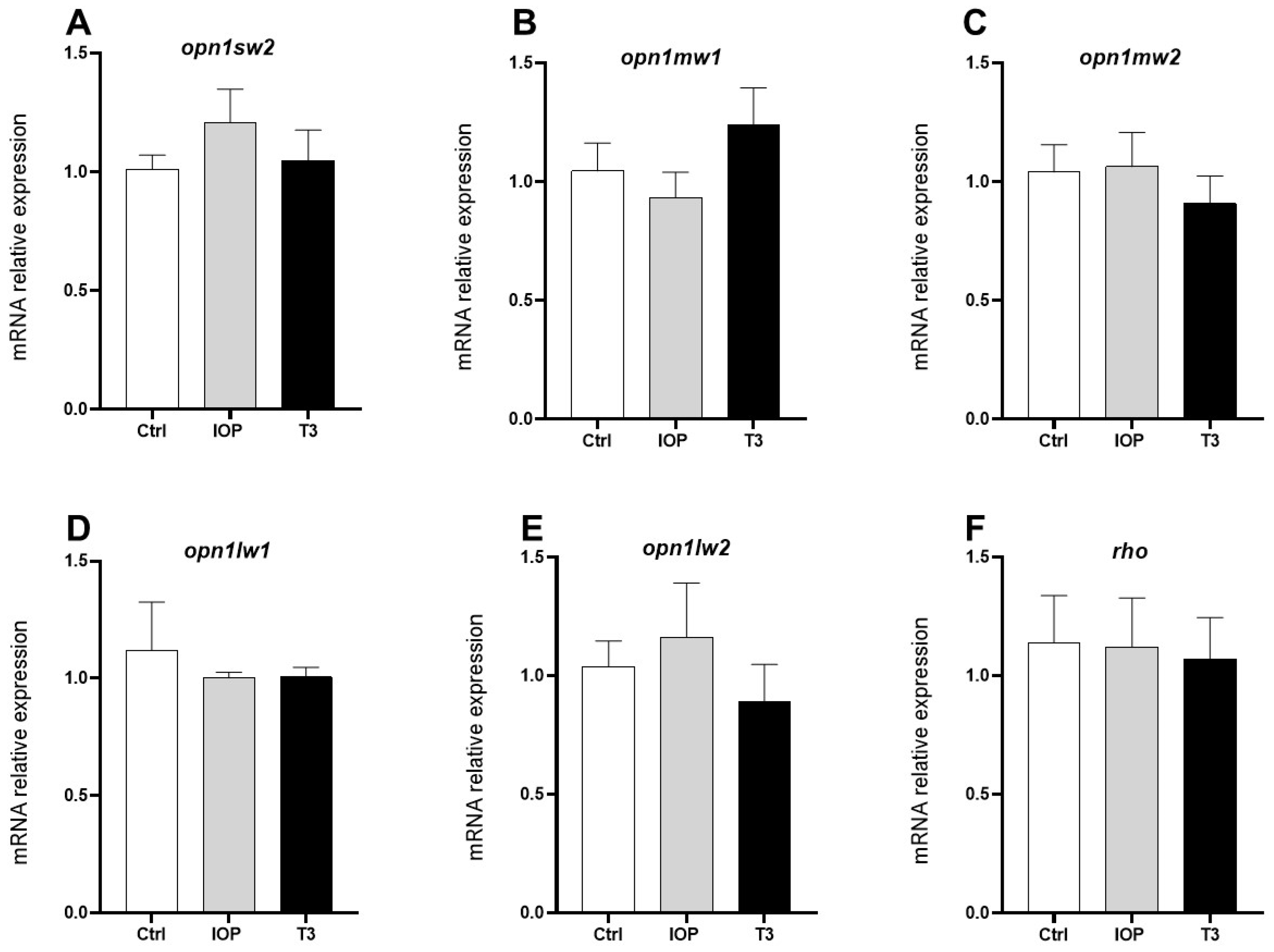 Ijms 25 12215 g005 Ijms 25 12215 g005