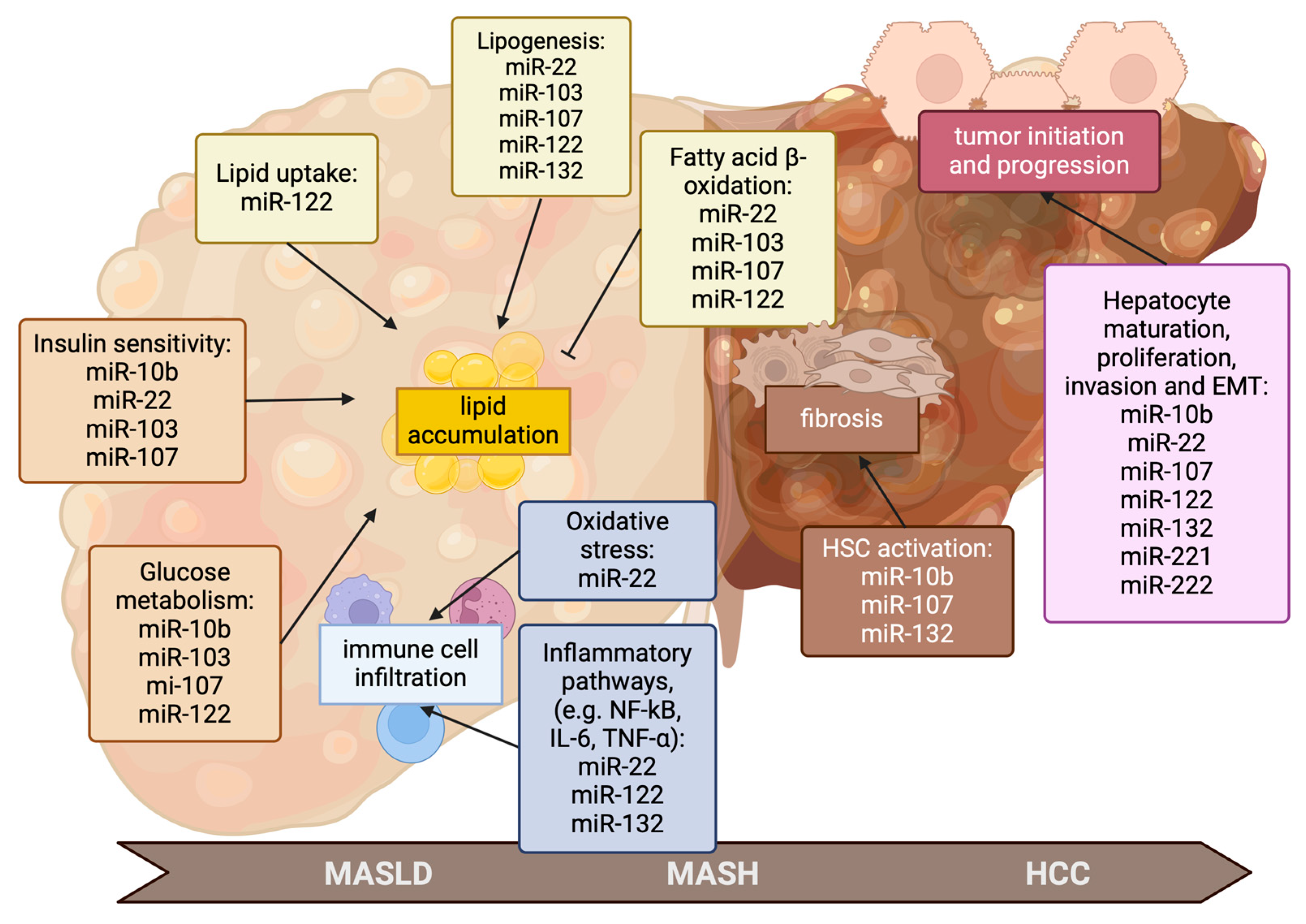 Ijms 25 12229 g002 Ijms 25 12229 g002