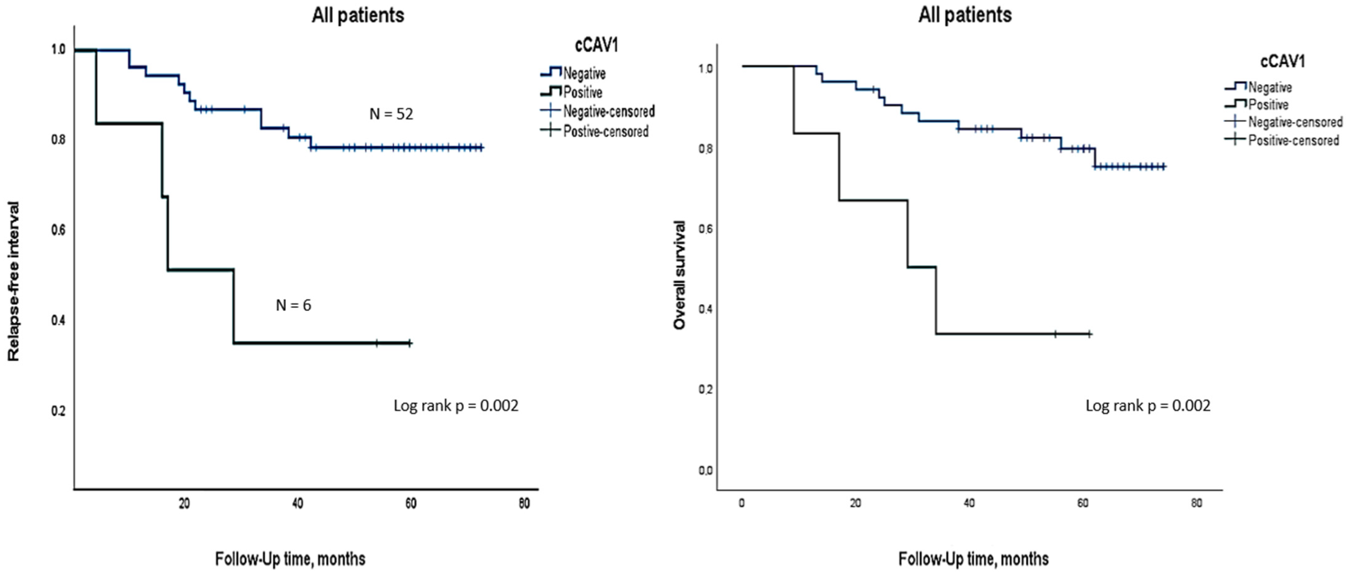 Ijms 25 12241 g001 Ijms 25 12241 g001