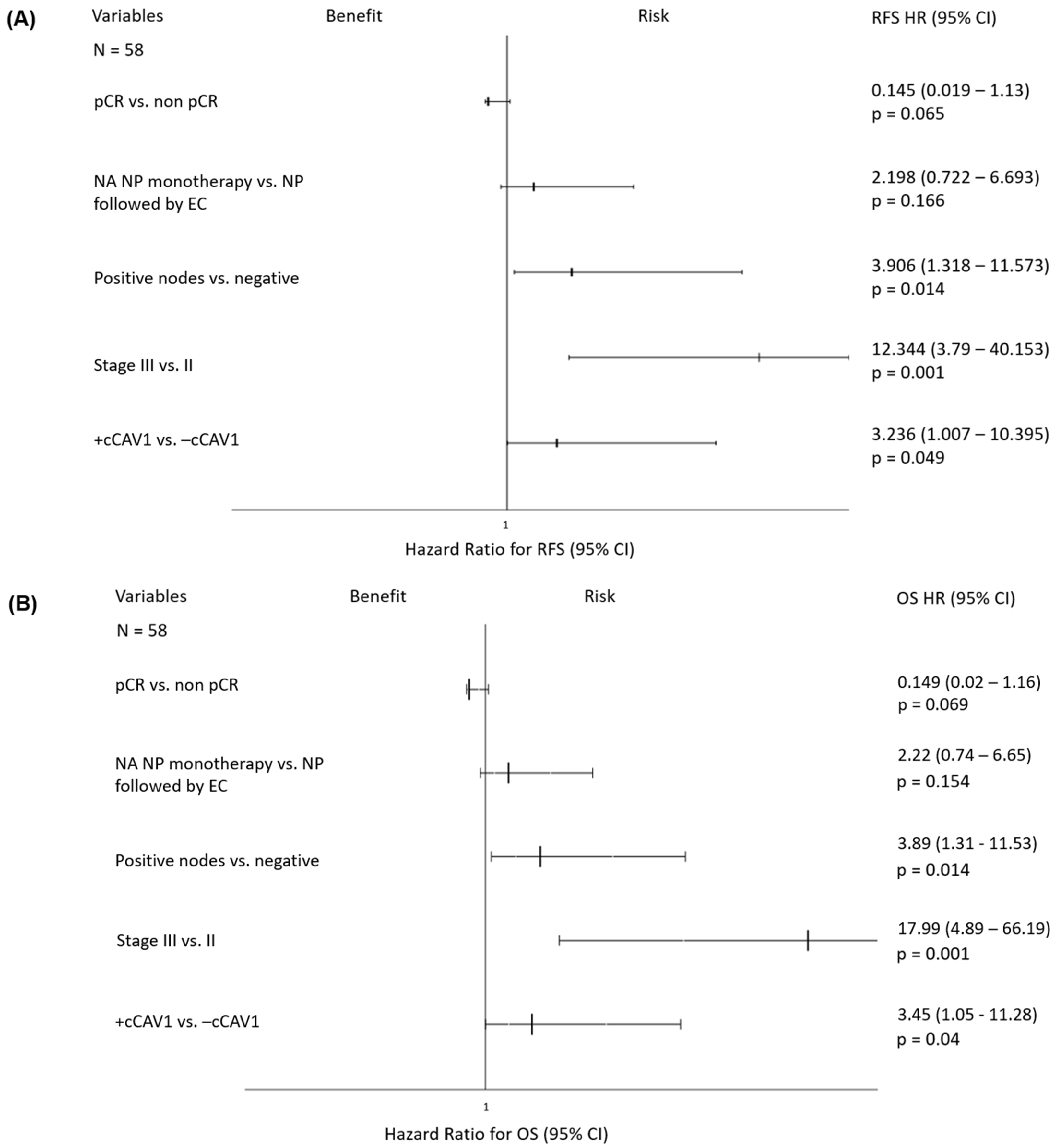 Ijms 25 12241 g002 Ijms 25 12241 g002