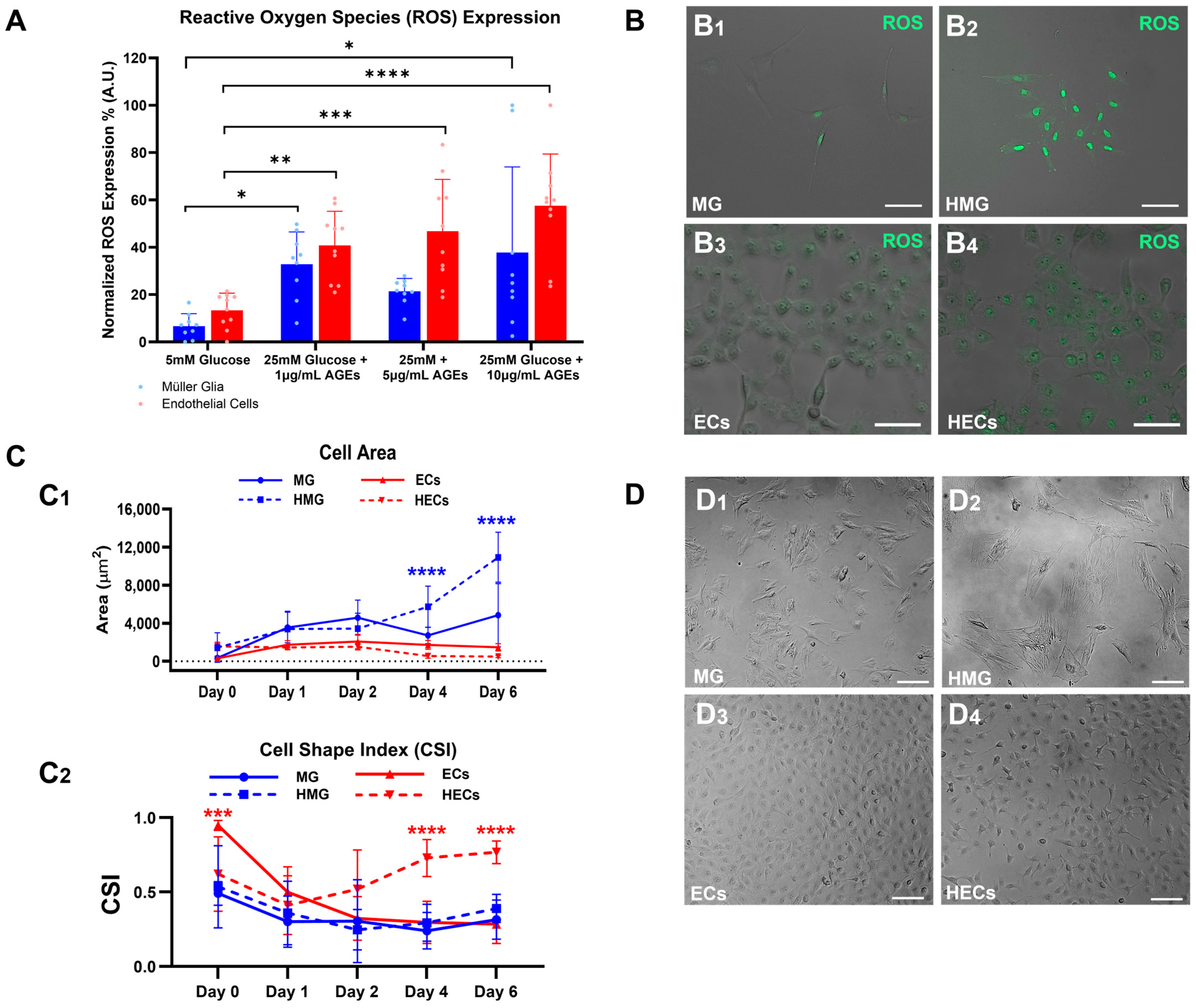 Ijms 25 12271 g002 Ijms 25 12271 g002
