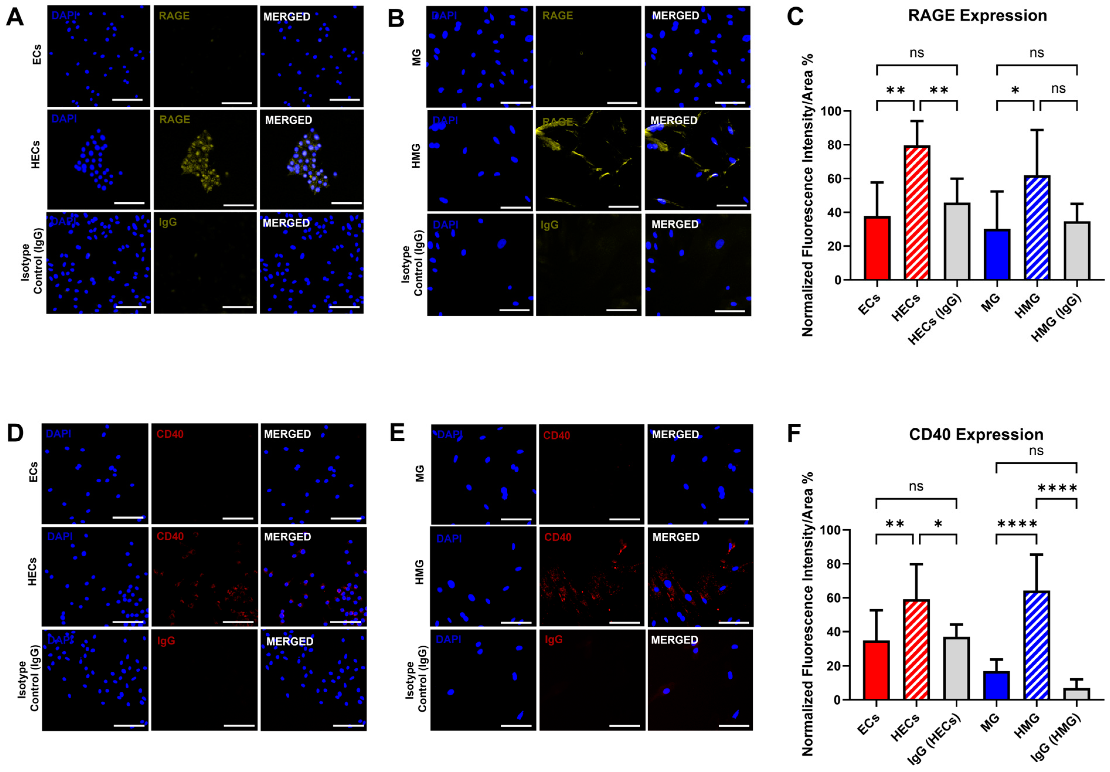 Ijms 25 12271 g003 Ijms 25 12271 g003