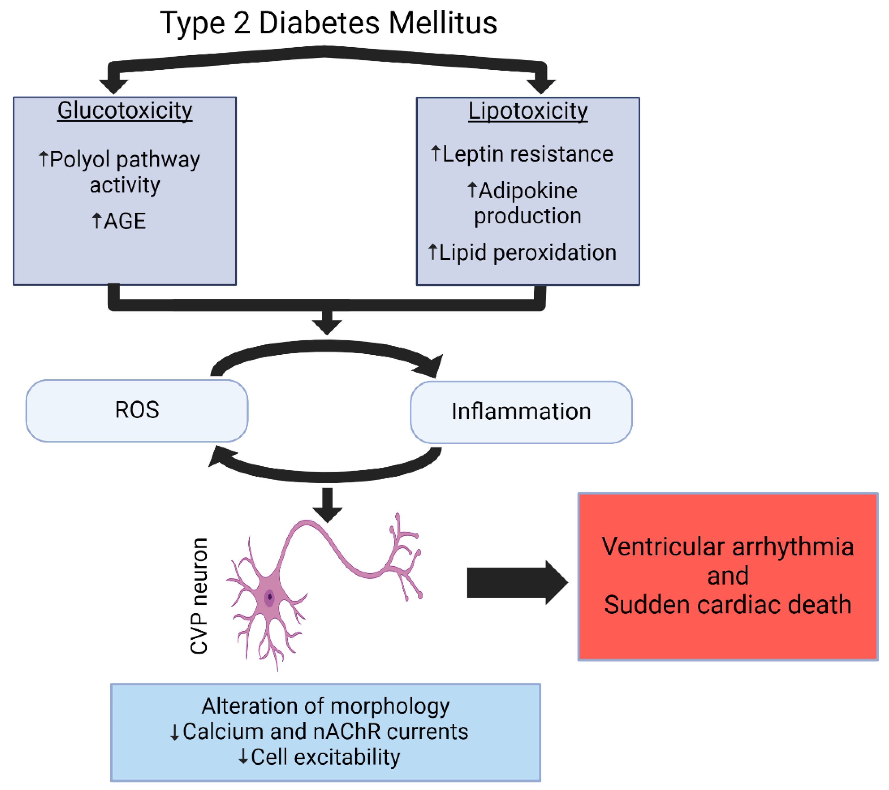 Ijms 25 12464 g002 Ijms 25 12464 g002