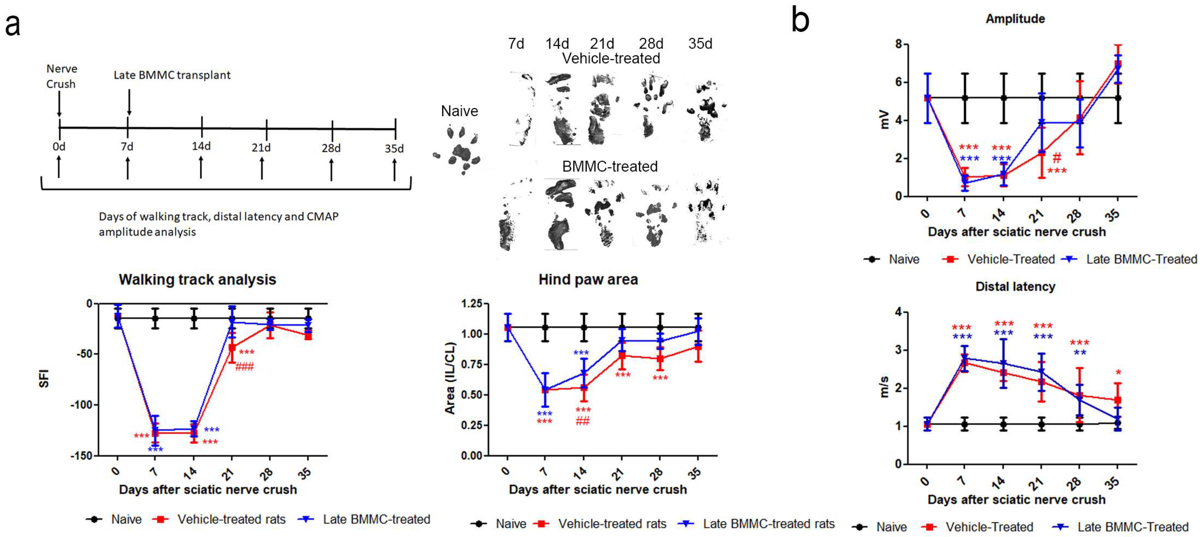 Ijms 25 12482 g003 Ijms 25 12482 g003