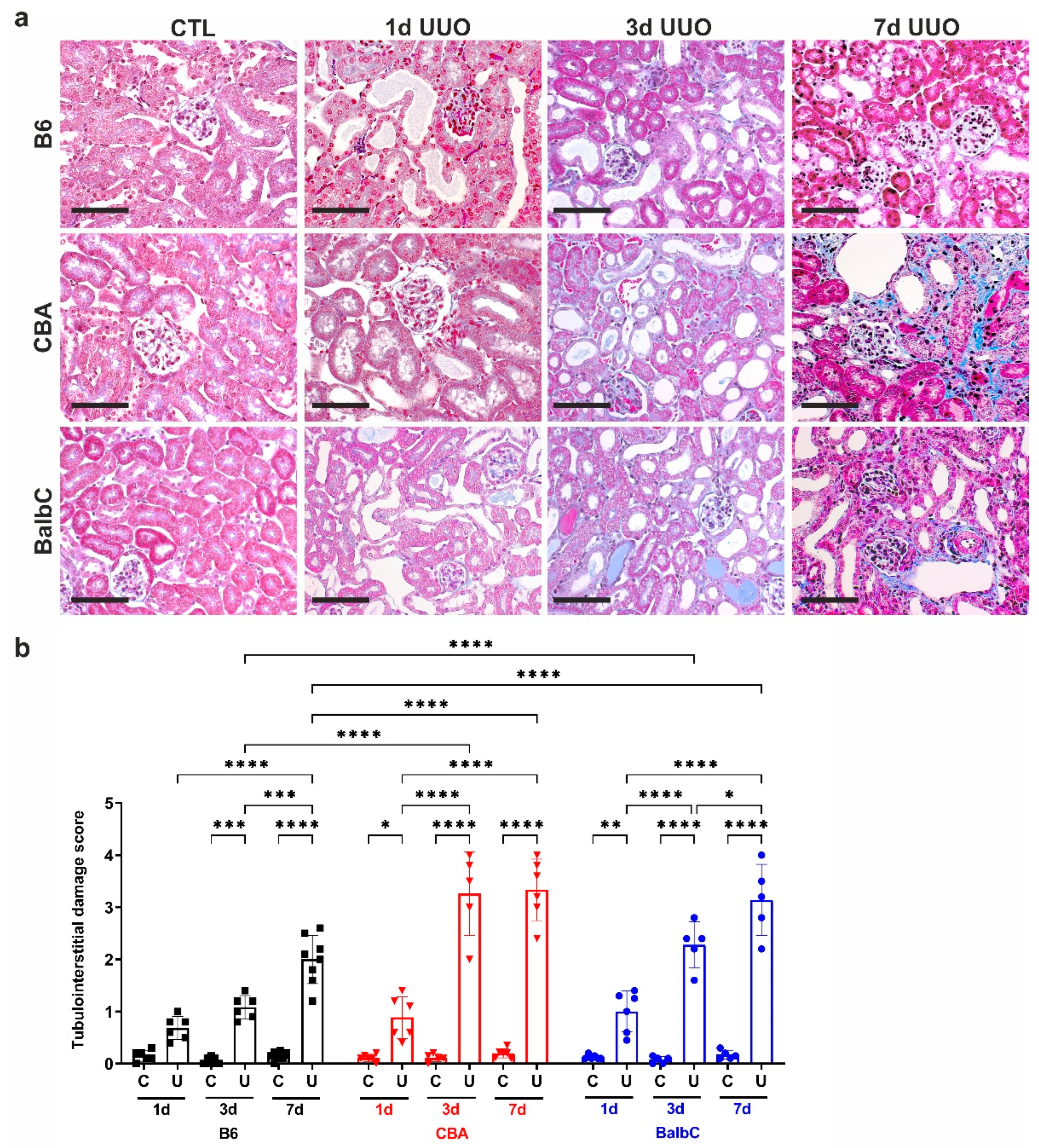 Ijms 25 12551 g001 Ijms 25 12551 g001