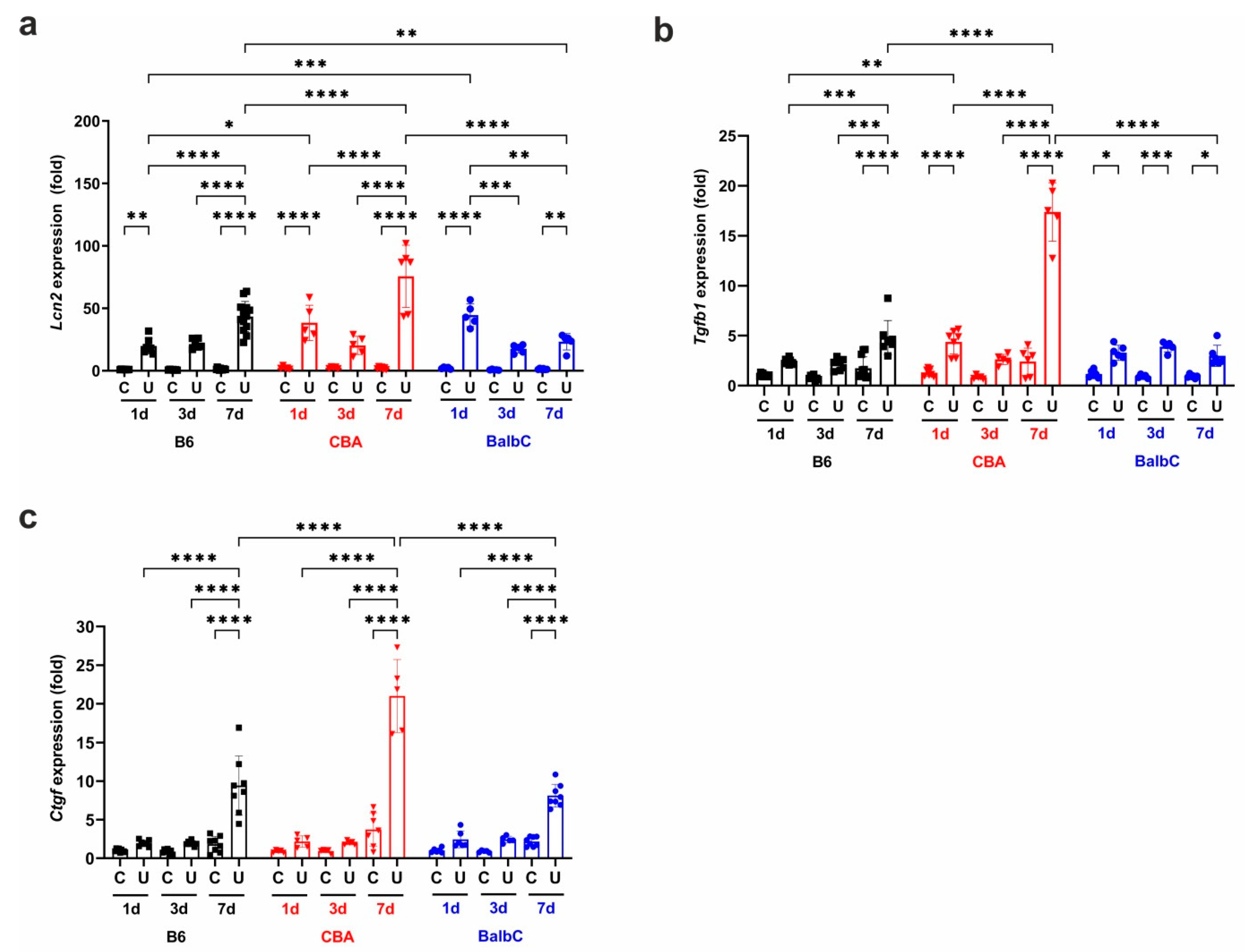 Ijms 25 12551 g002 Ijms 25 12551 g002