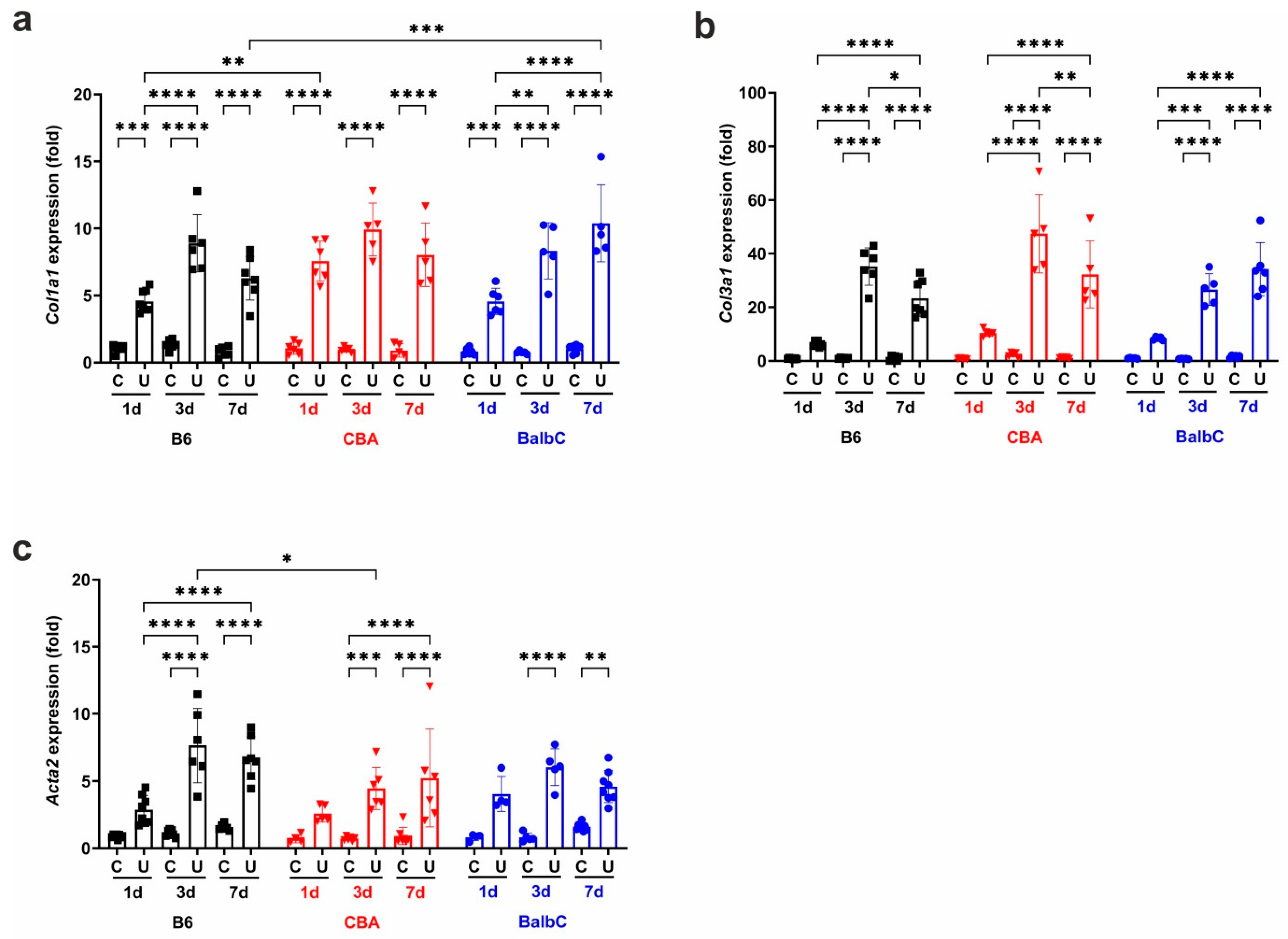 Ijms 25 12551 g003 Ijms 25 12551 g003