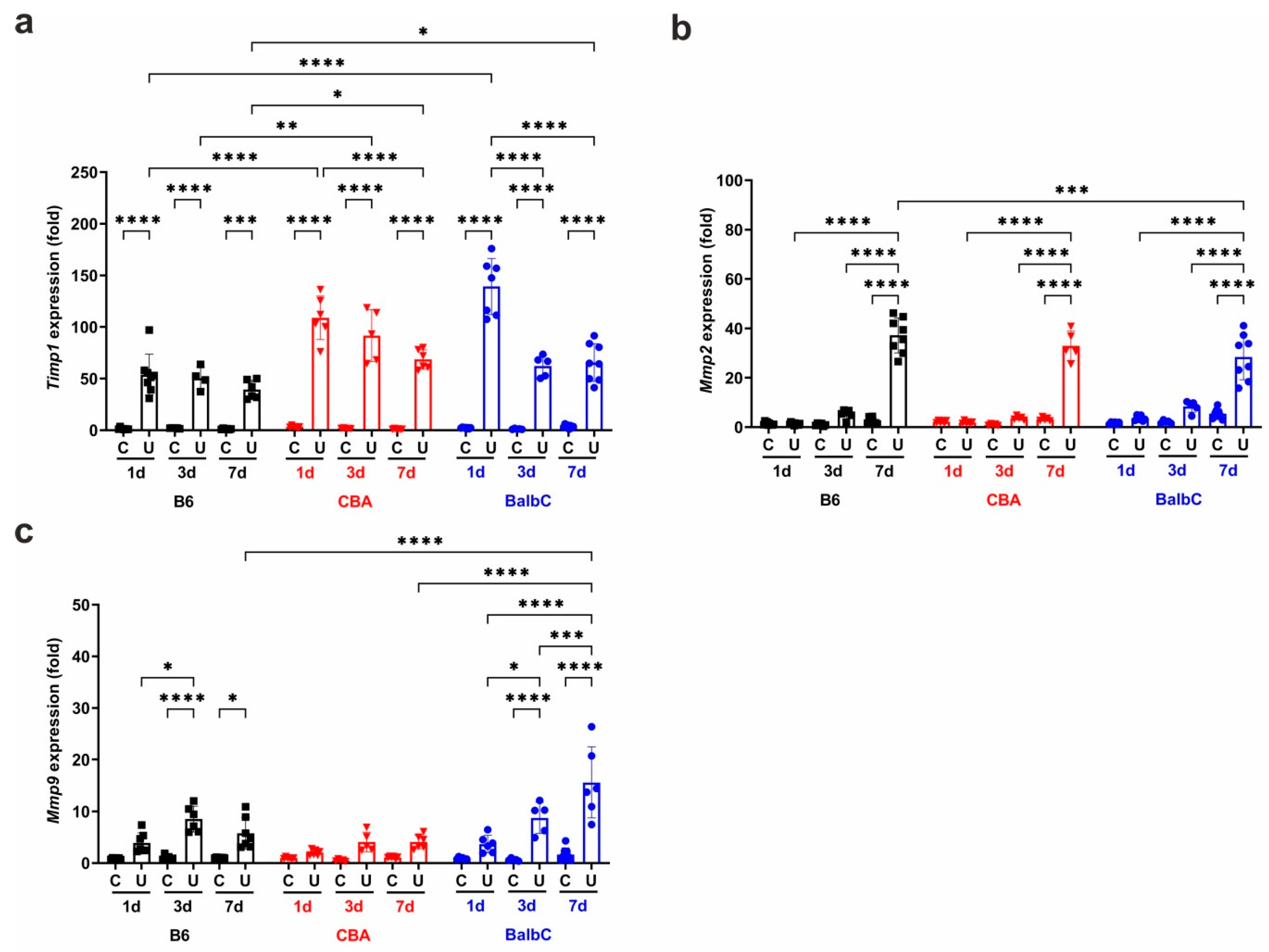 Ijms 25 12551 g004 Ijms 25 12551 g004