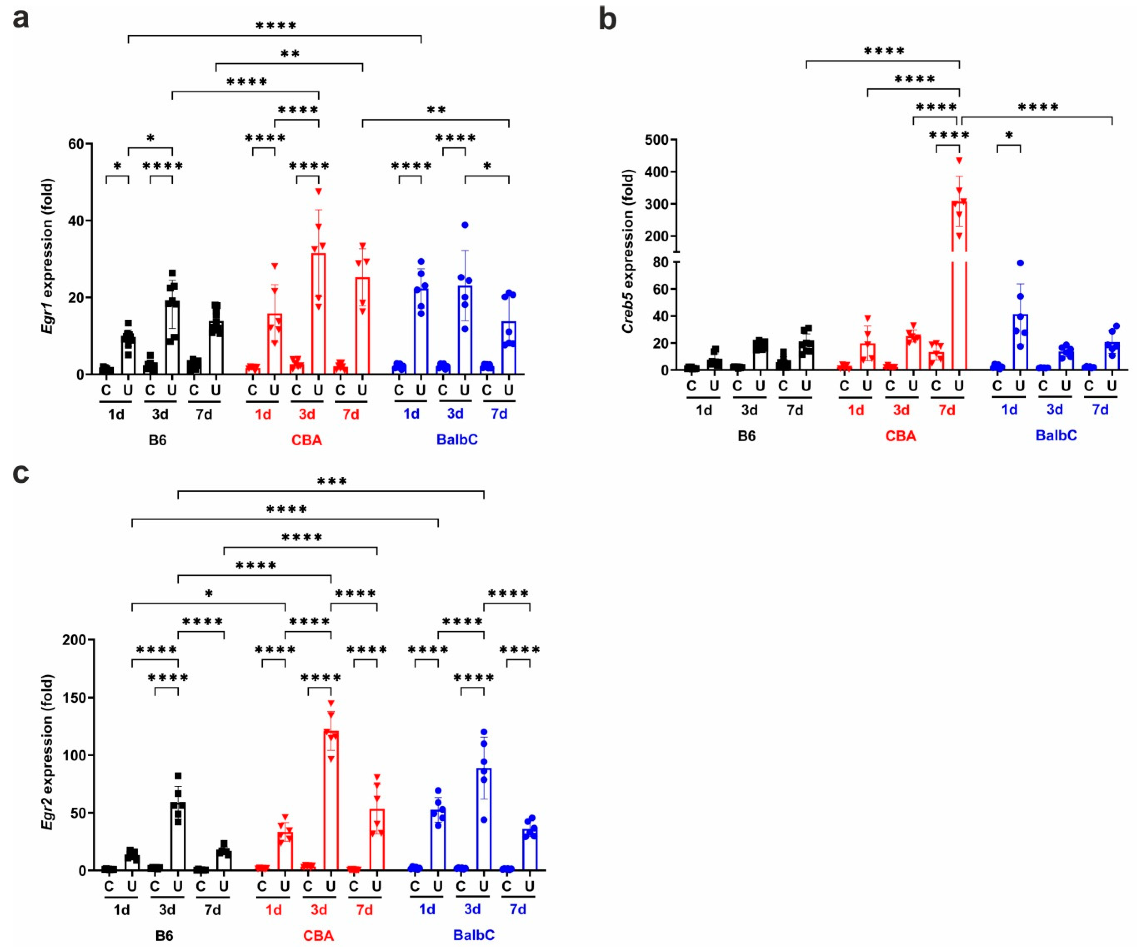 Ijms 25 12551 g005 Ijms 25 12551 g005