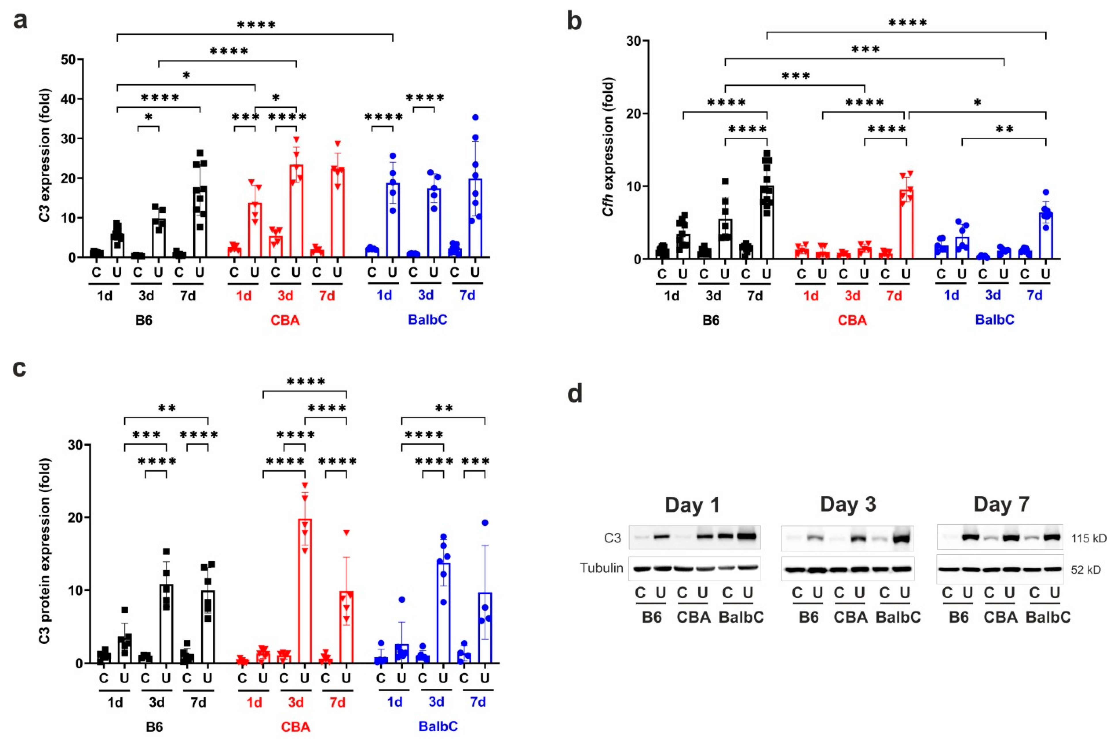 Ijms 25 12551 g007 Ijms 25 12551 g007
